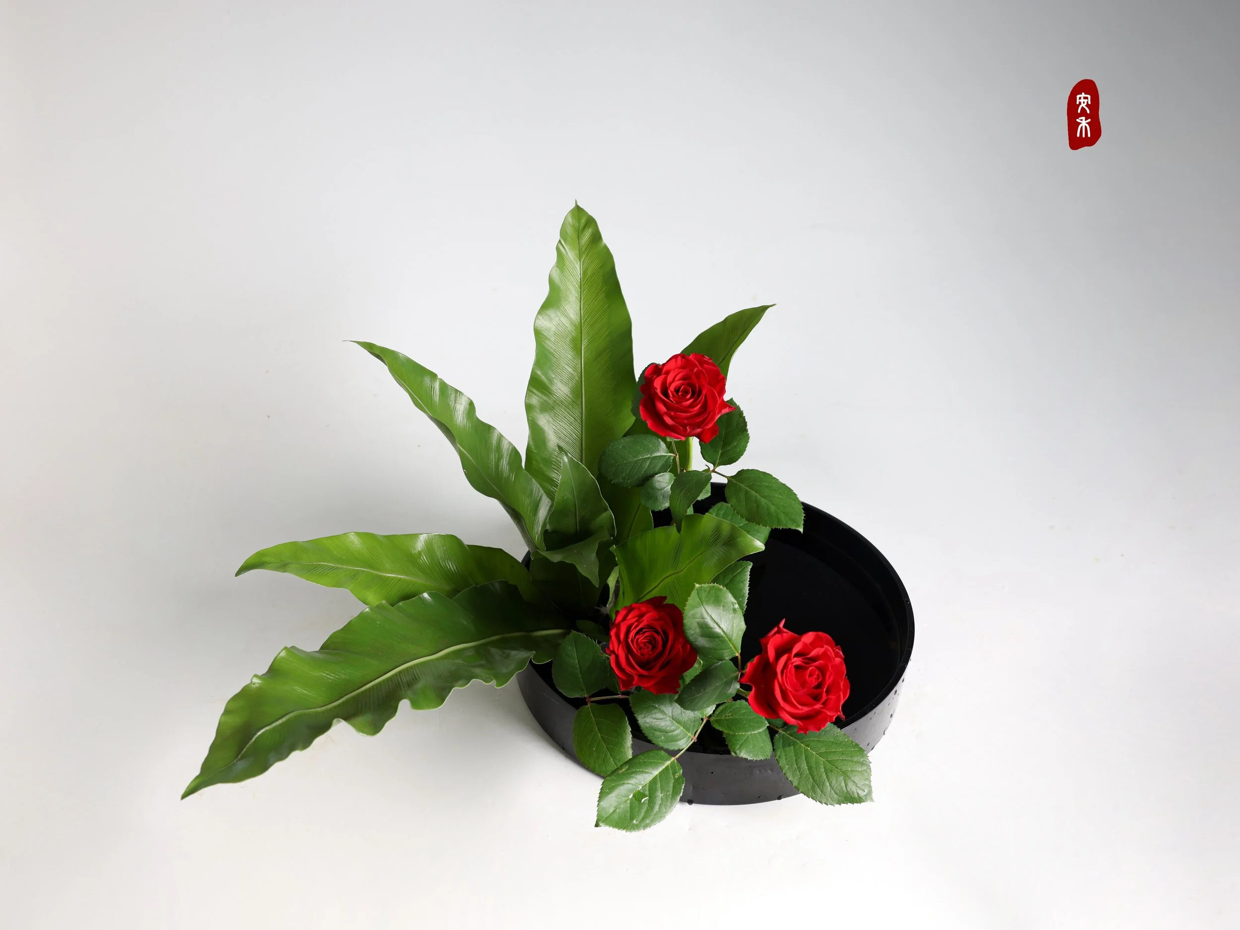 照片 24-03-2026 12 55 00 (5).jpg