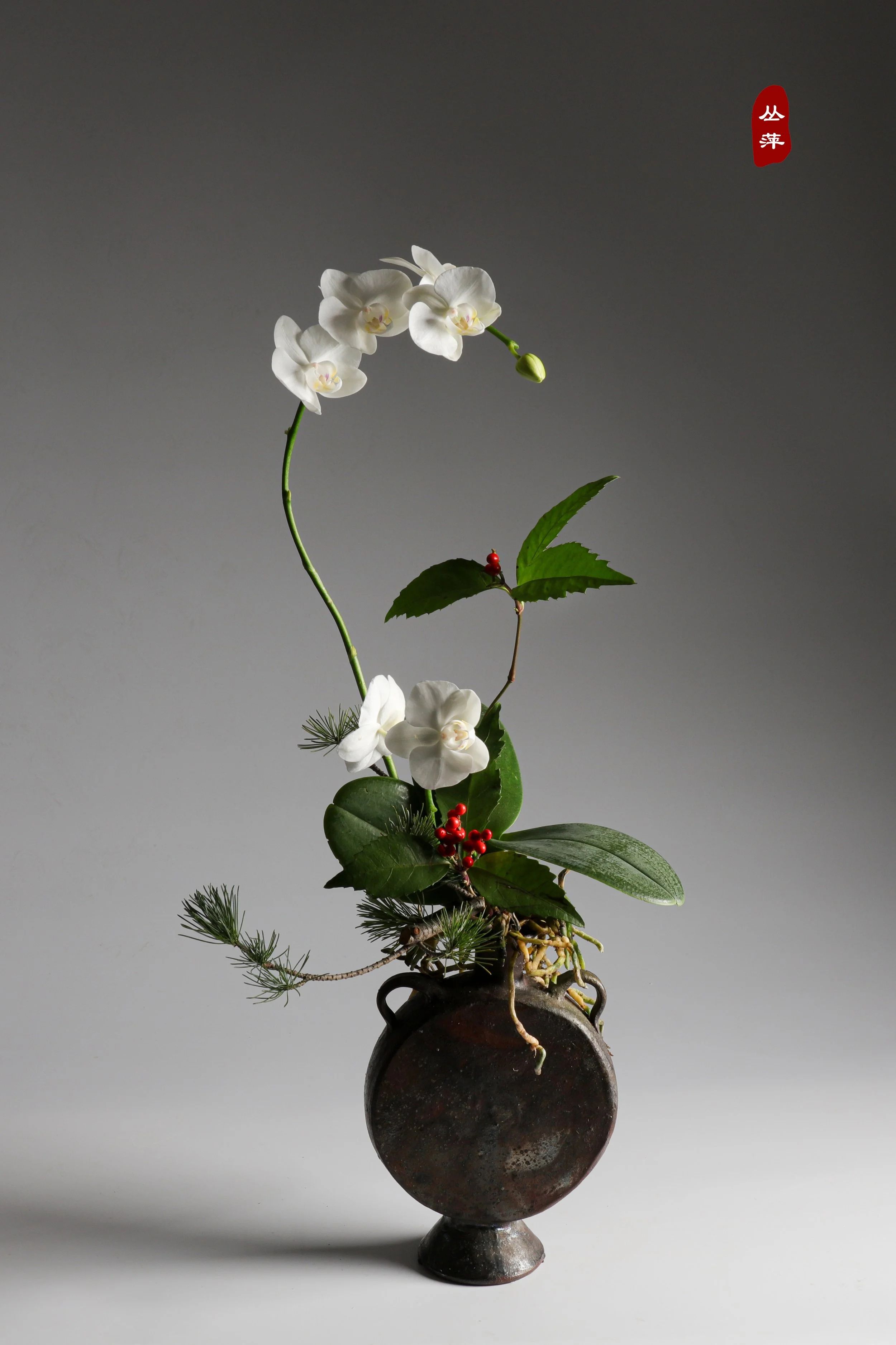 照片 24-03-2026 12 55 00 (17).jpg