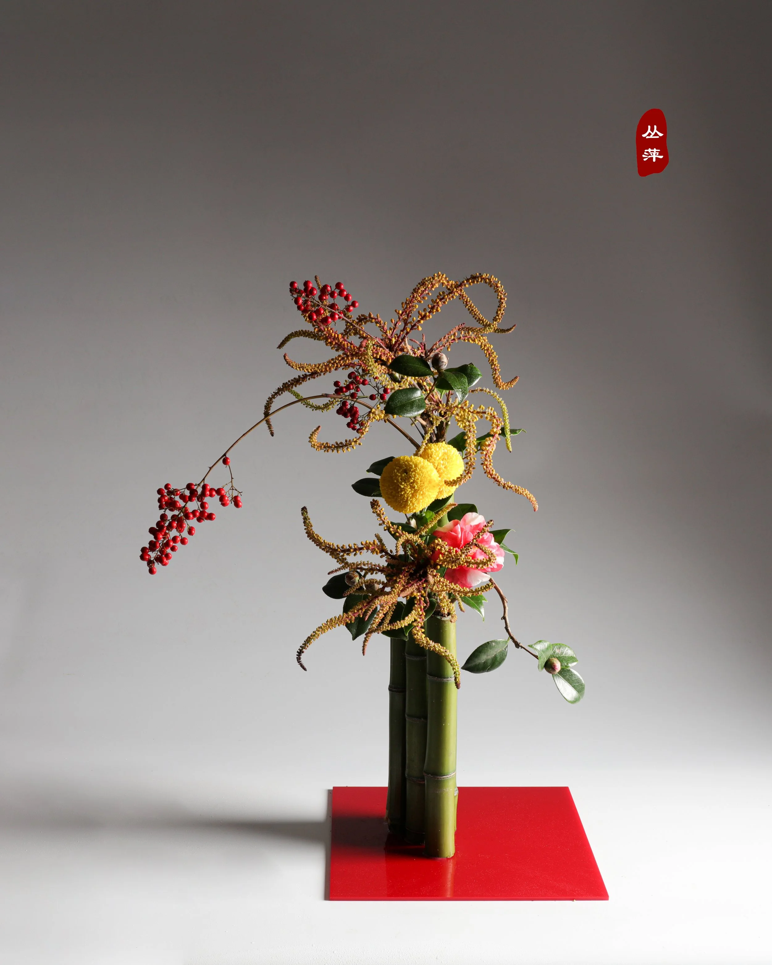 照片 24-03-2026 12 55 00 (18).jpg