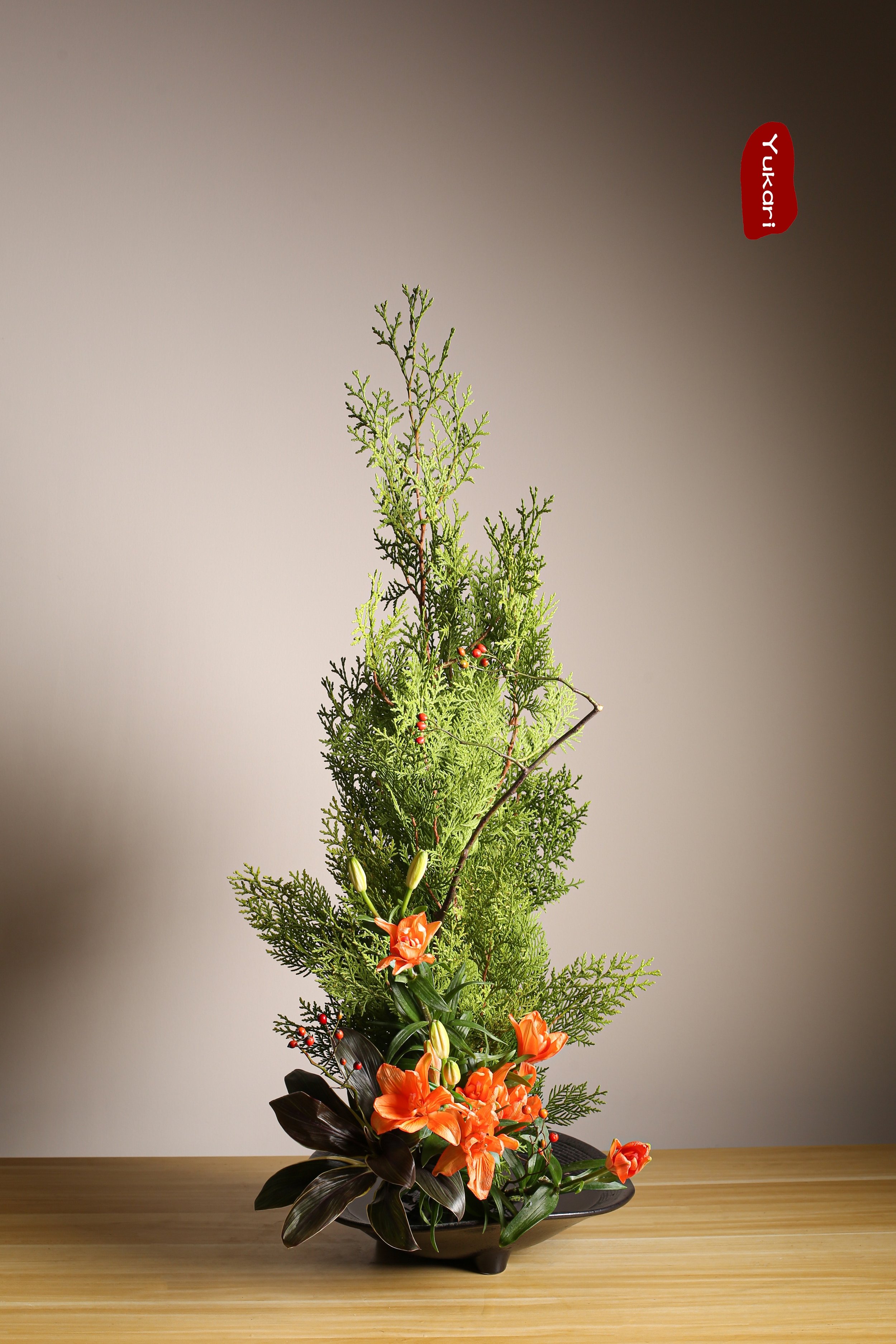 照片 23-11-2023 17 11 03.jpg