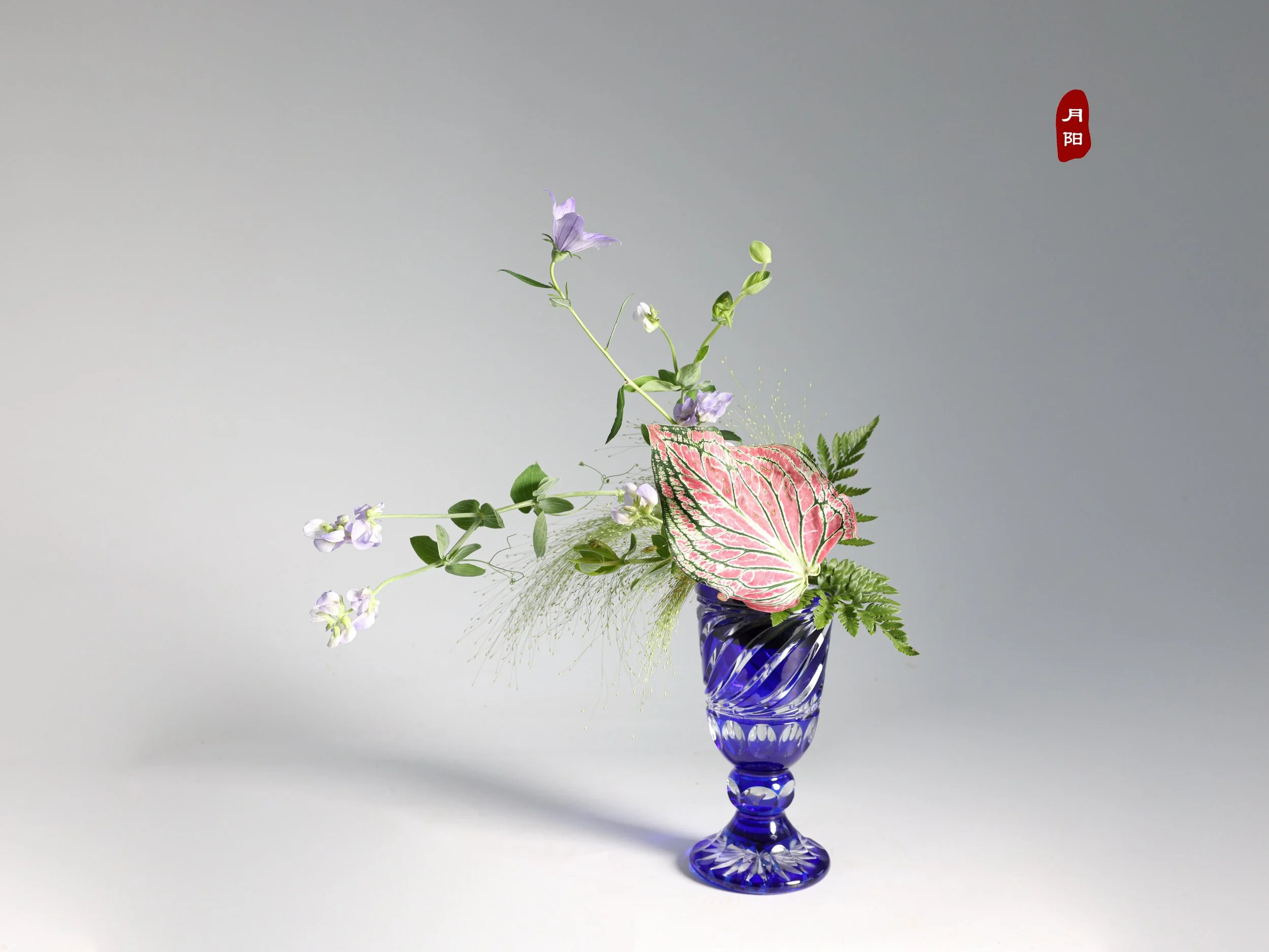 照片 24-03-2026 12 55 00 (4).jpg