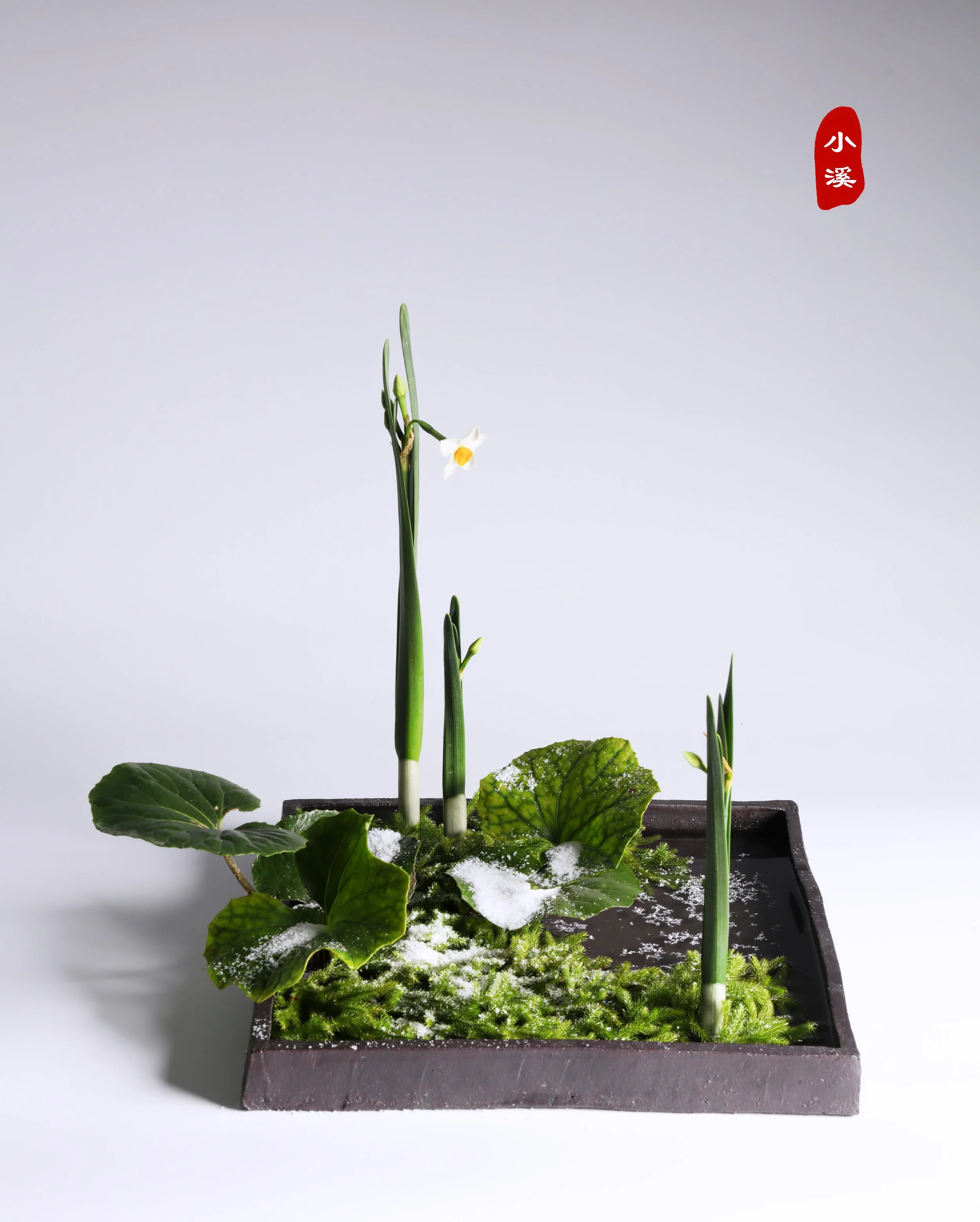 照片 24-03-2026 12 55 00 (16).jpg