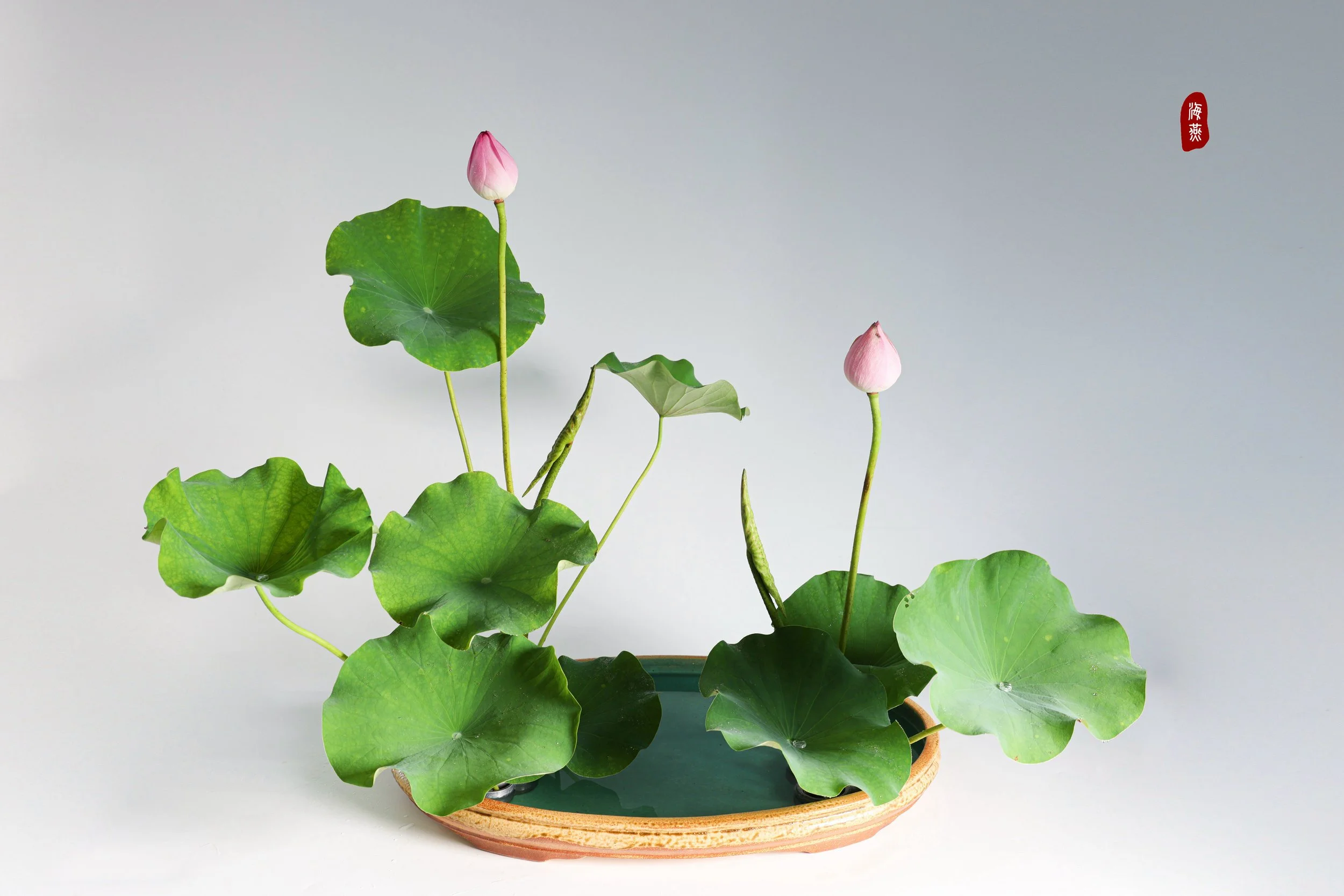 照片 24-03-2026 12 55 00 (1).jpg