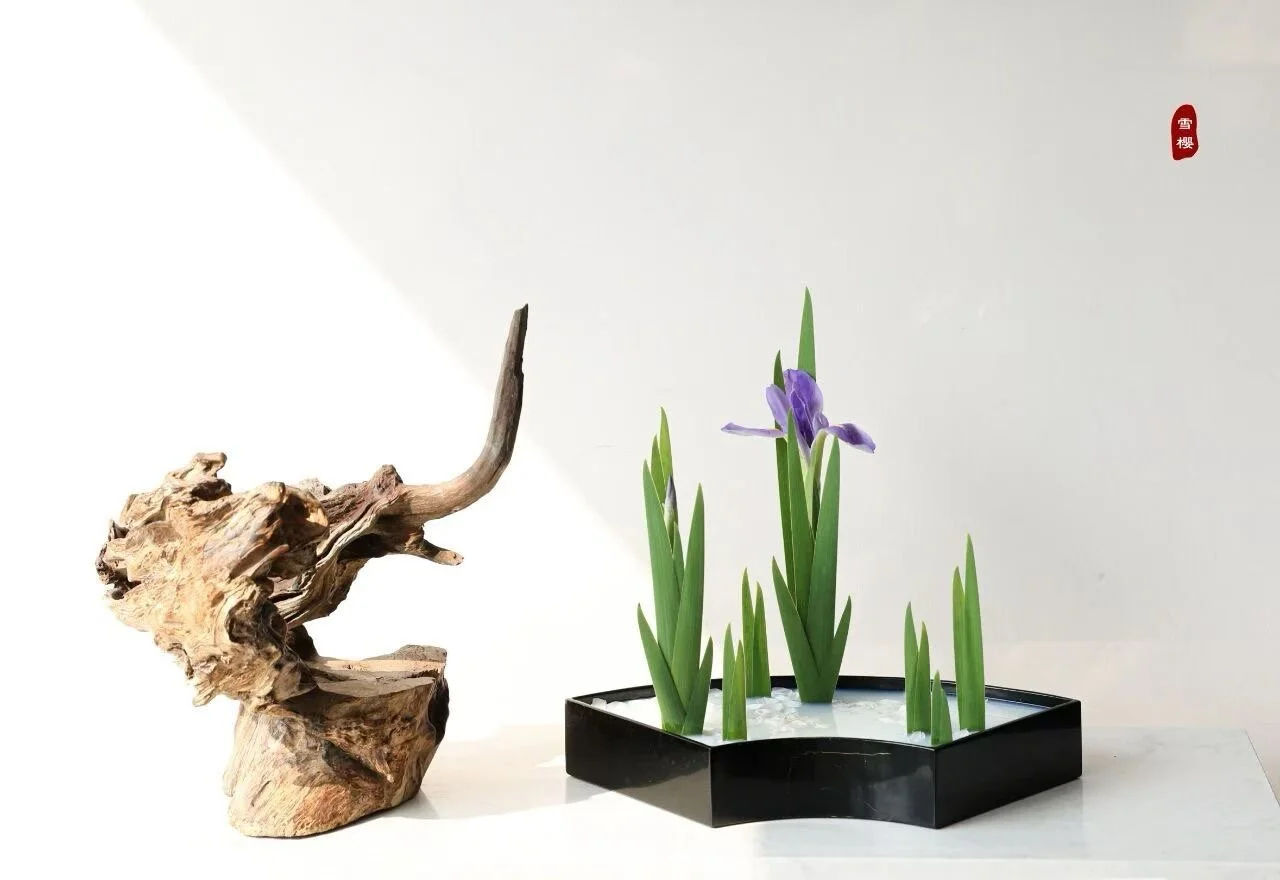 照片 09-03-2026 12 31 44.jpg