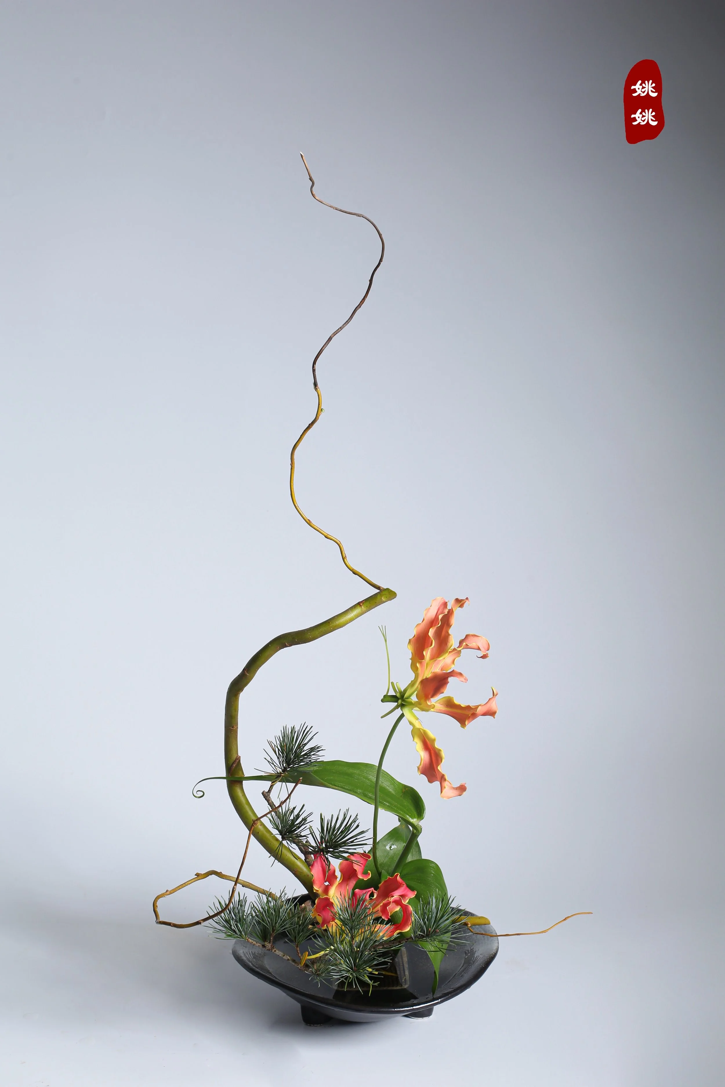 照片 06-11-2023 14 38 51.jpg