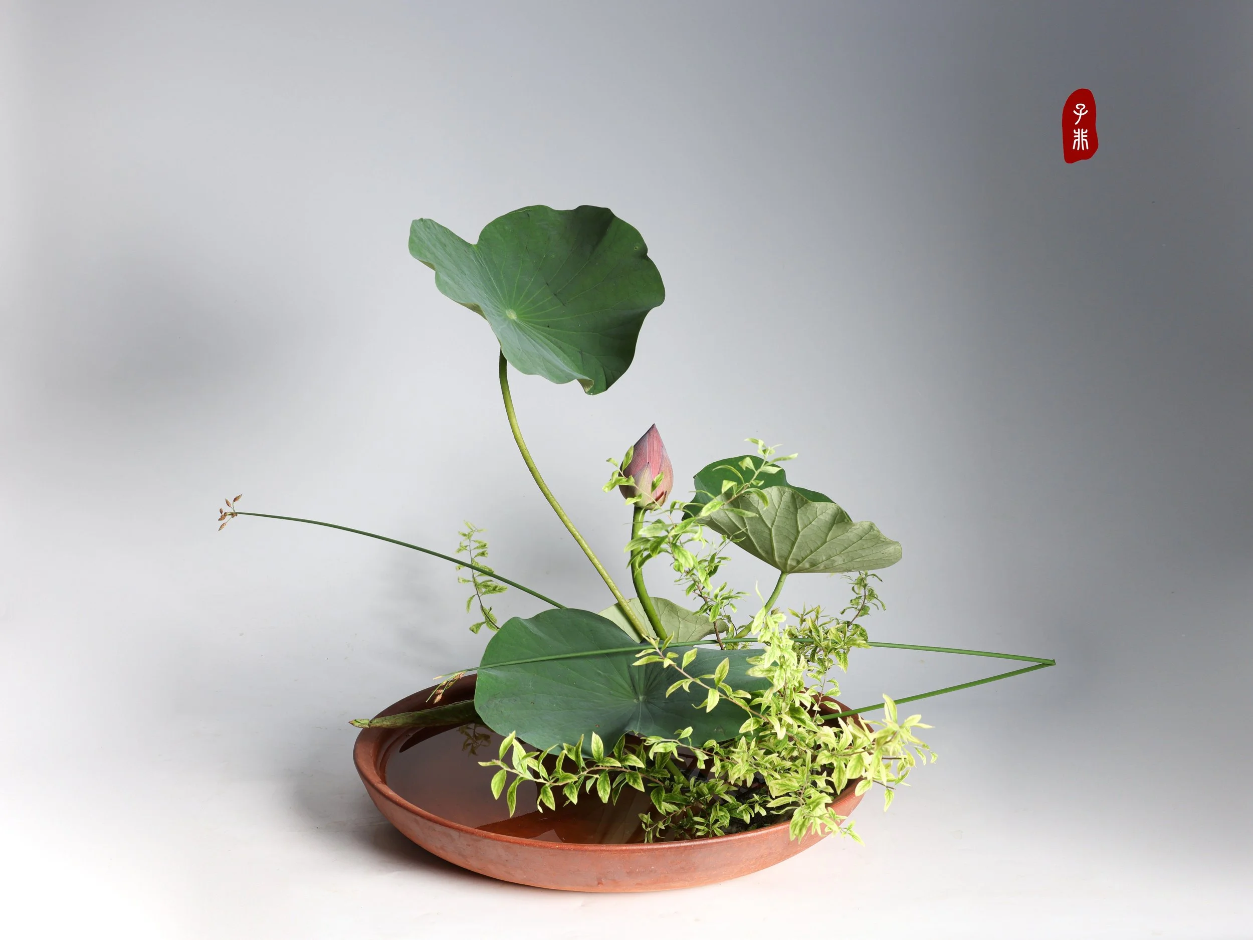 照片 01-06-2025 20 03 16.jpg