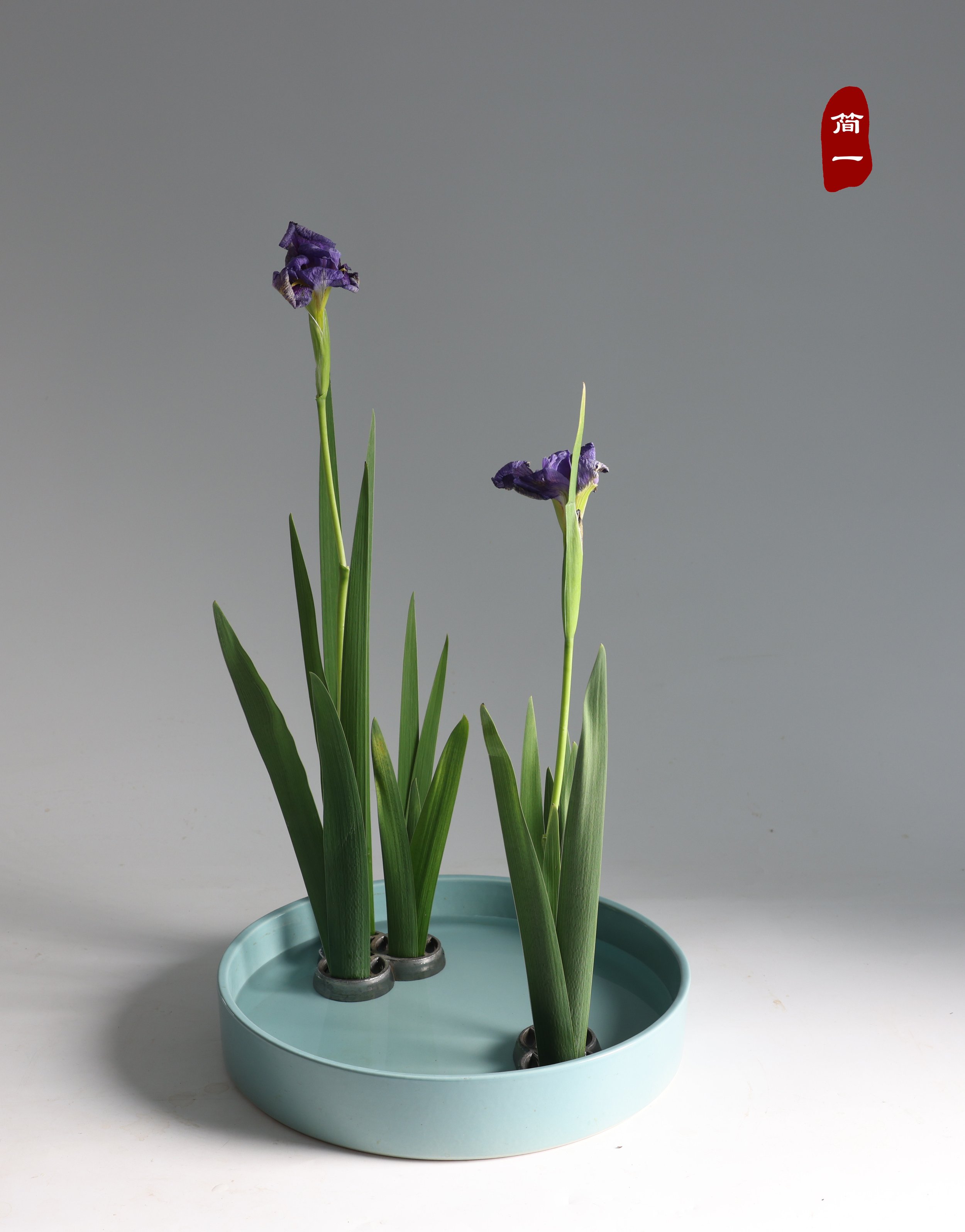 照片 24-05-2025 17 14 30.jpg