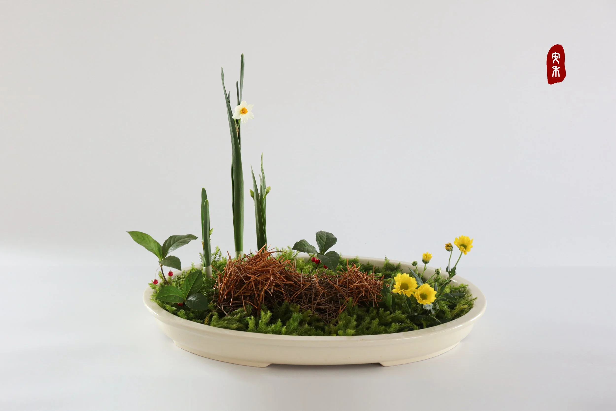 照片 24-03-2026 12 55 00 (21).jpg