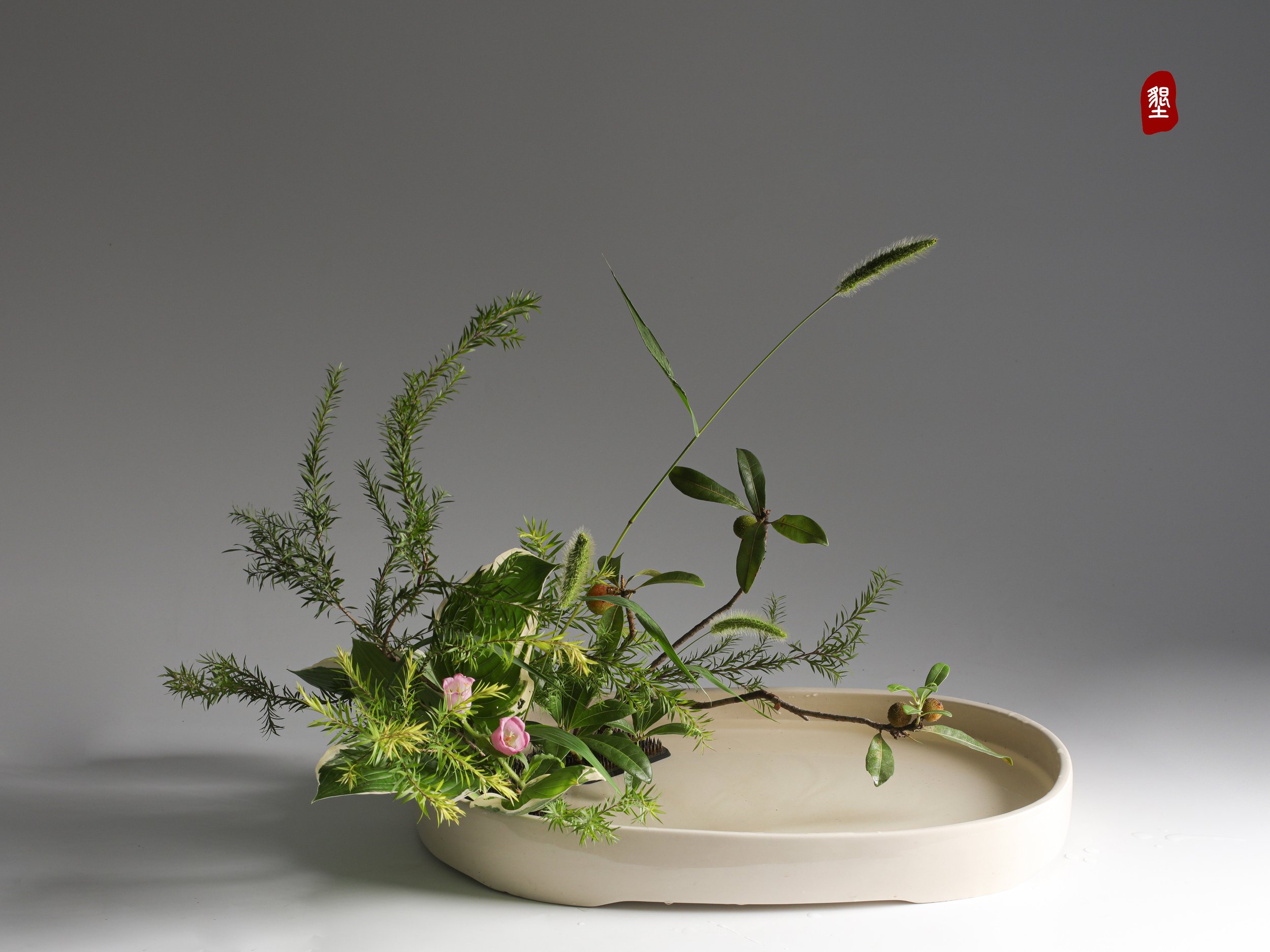 照片 24-03-2026 12 55 00 (11).jpg