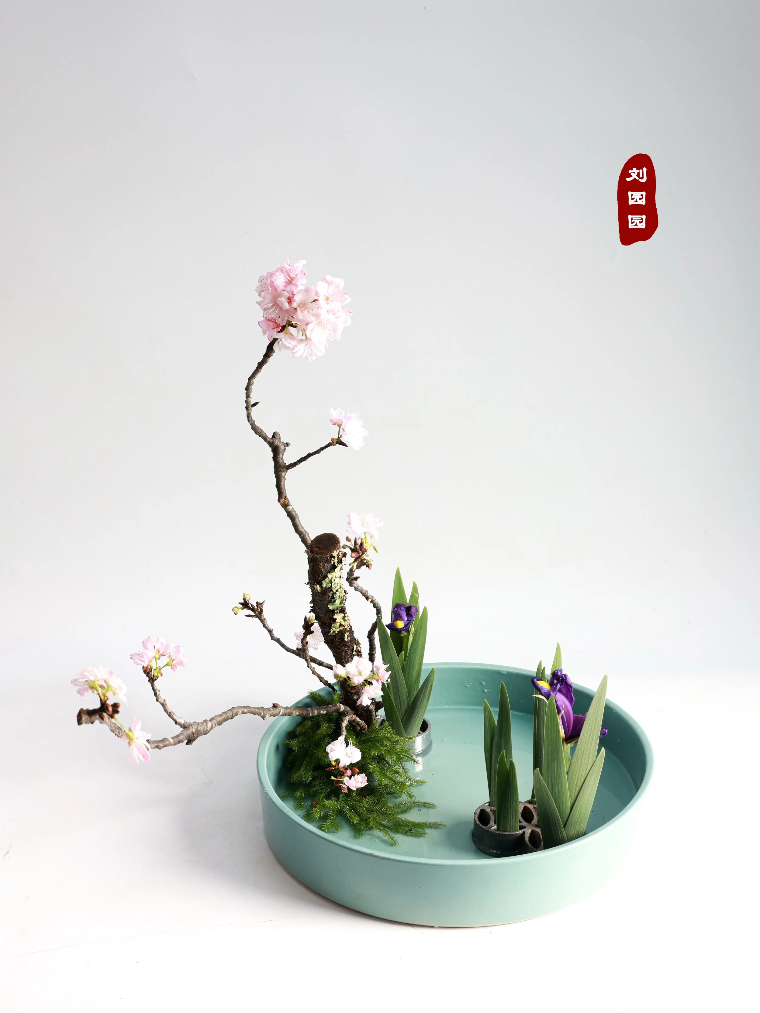 照片 23-03-2026 00 09 21 (1).jpg