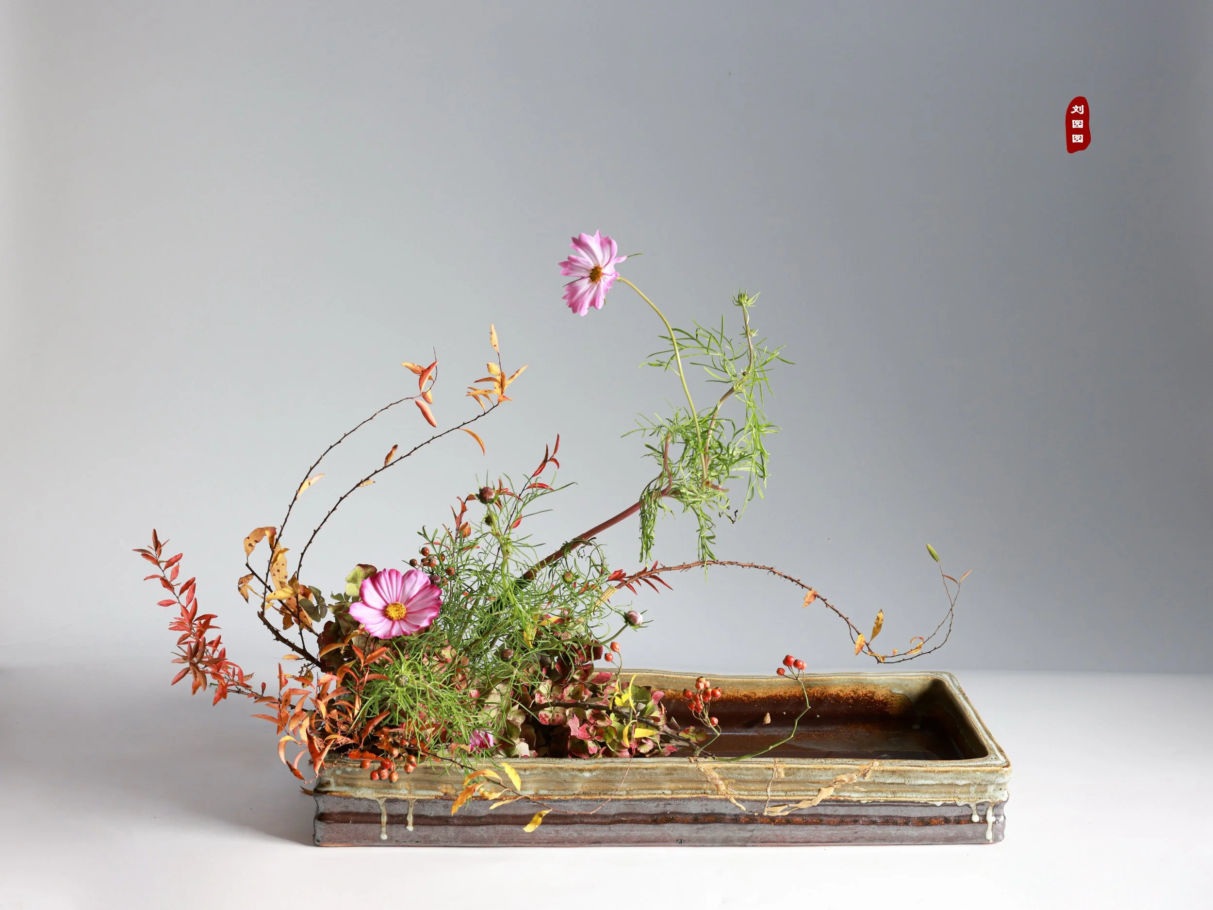 照片 02-11-2025 12 30 04.jpg