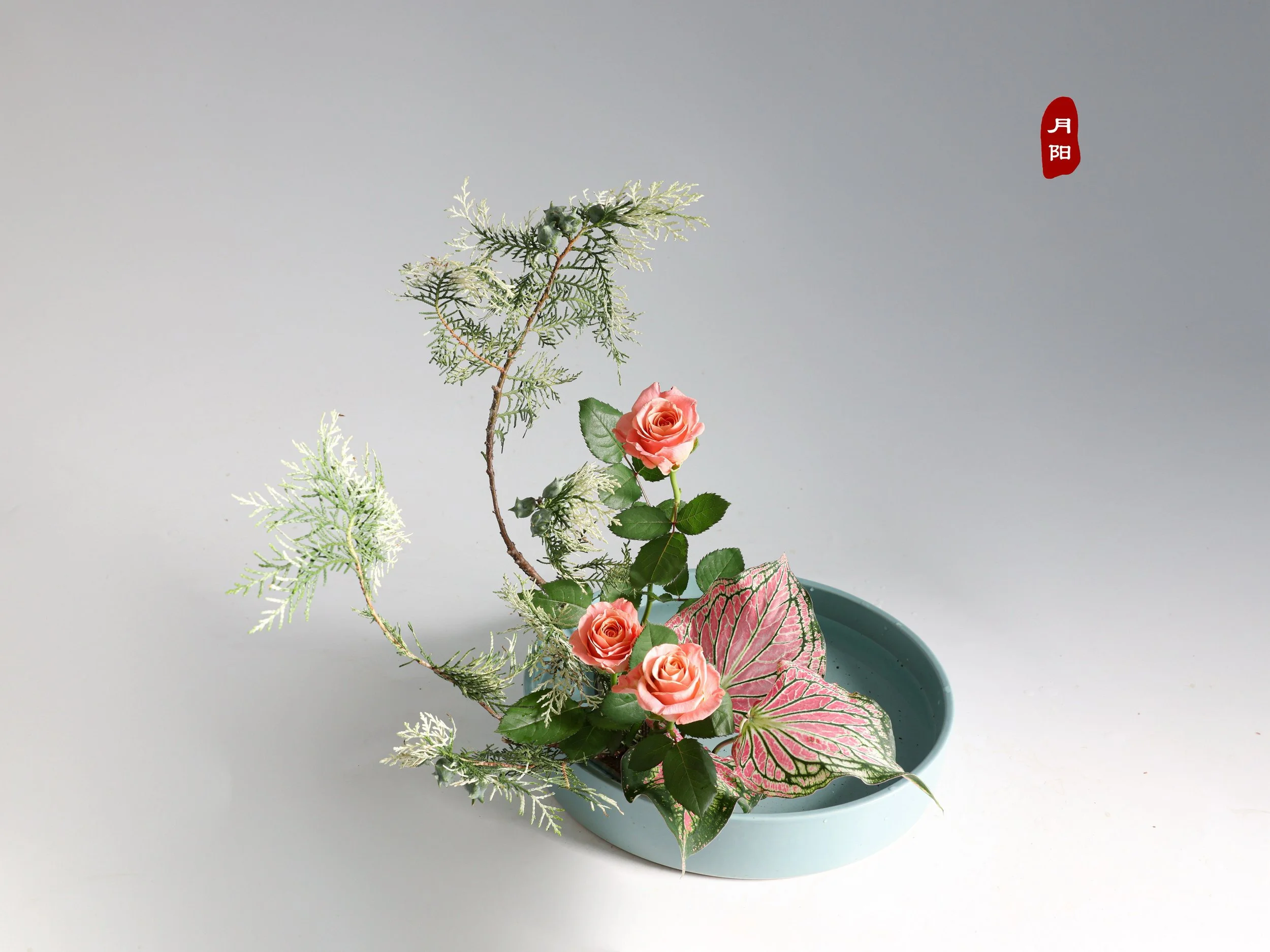 照片 17-06-2025 23 45 08.jpg