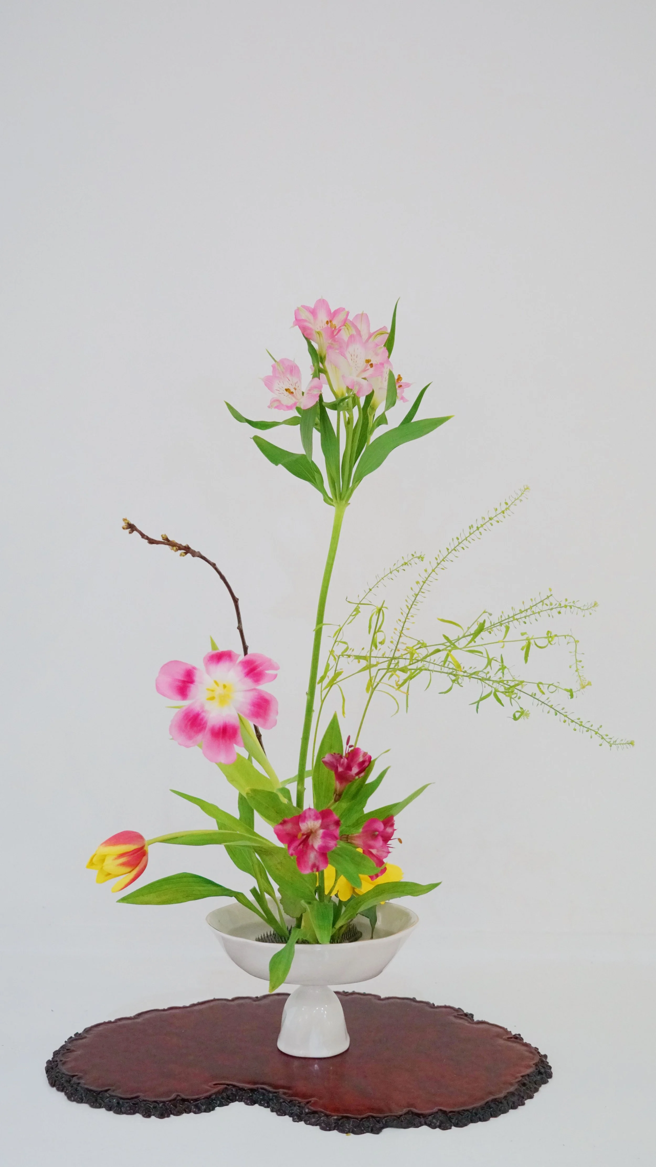 Photo 13-03-2026 07 37 52.jpg