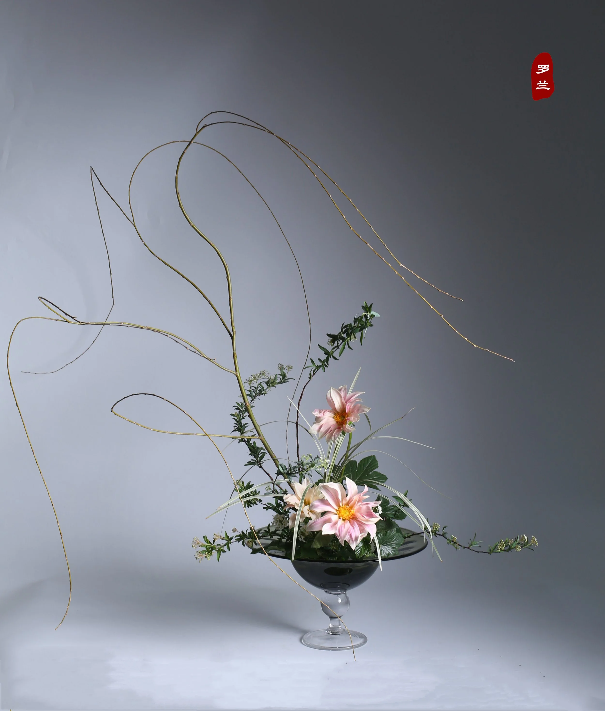 照片 24-03-2026 12 55 00 (24).jpg