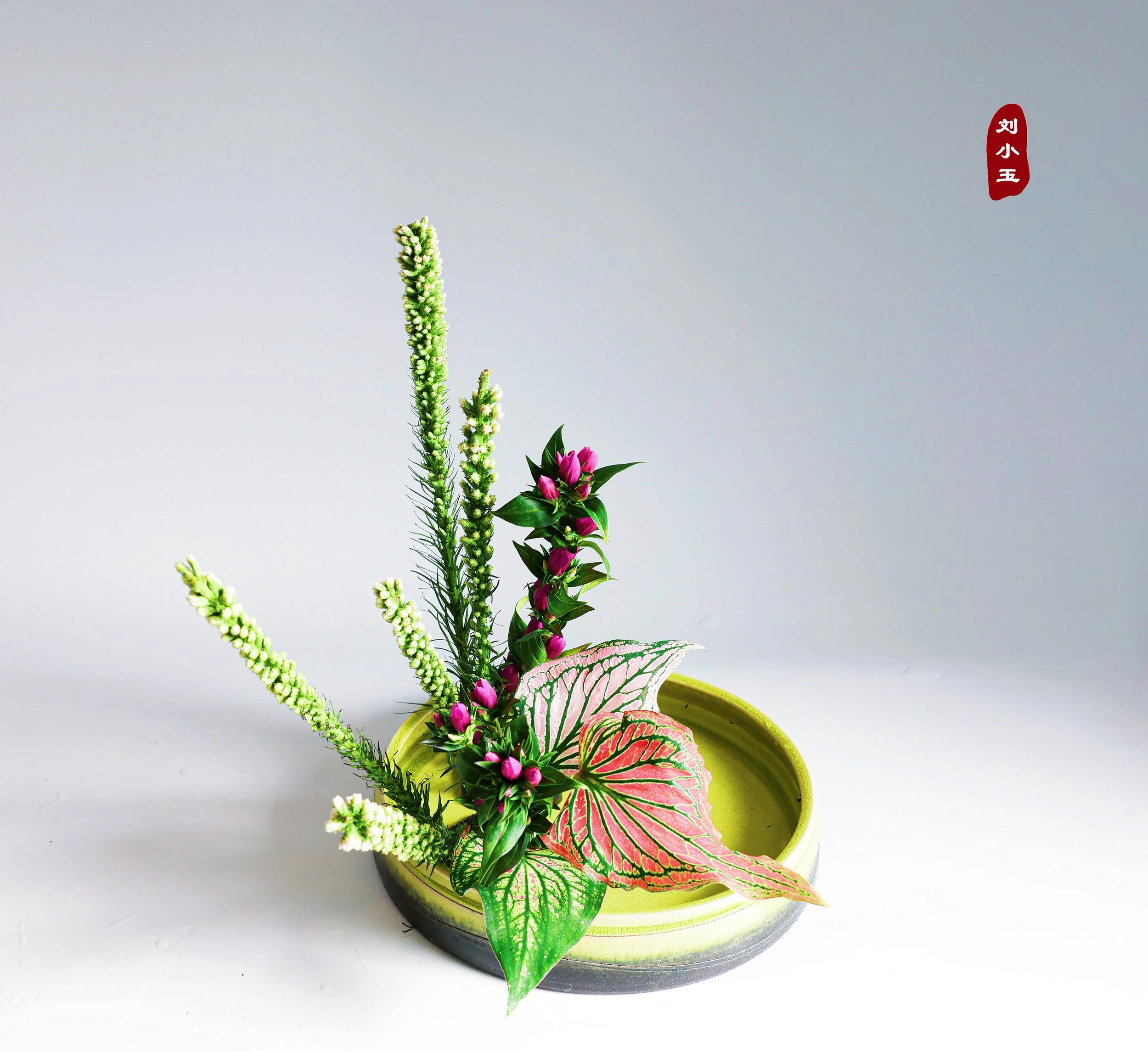 照片 15-07-2025 12 21 39.jpg