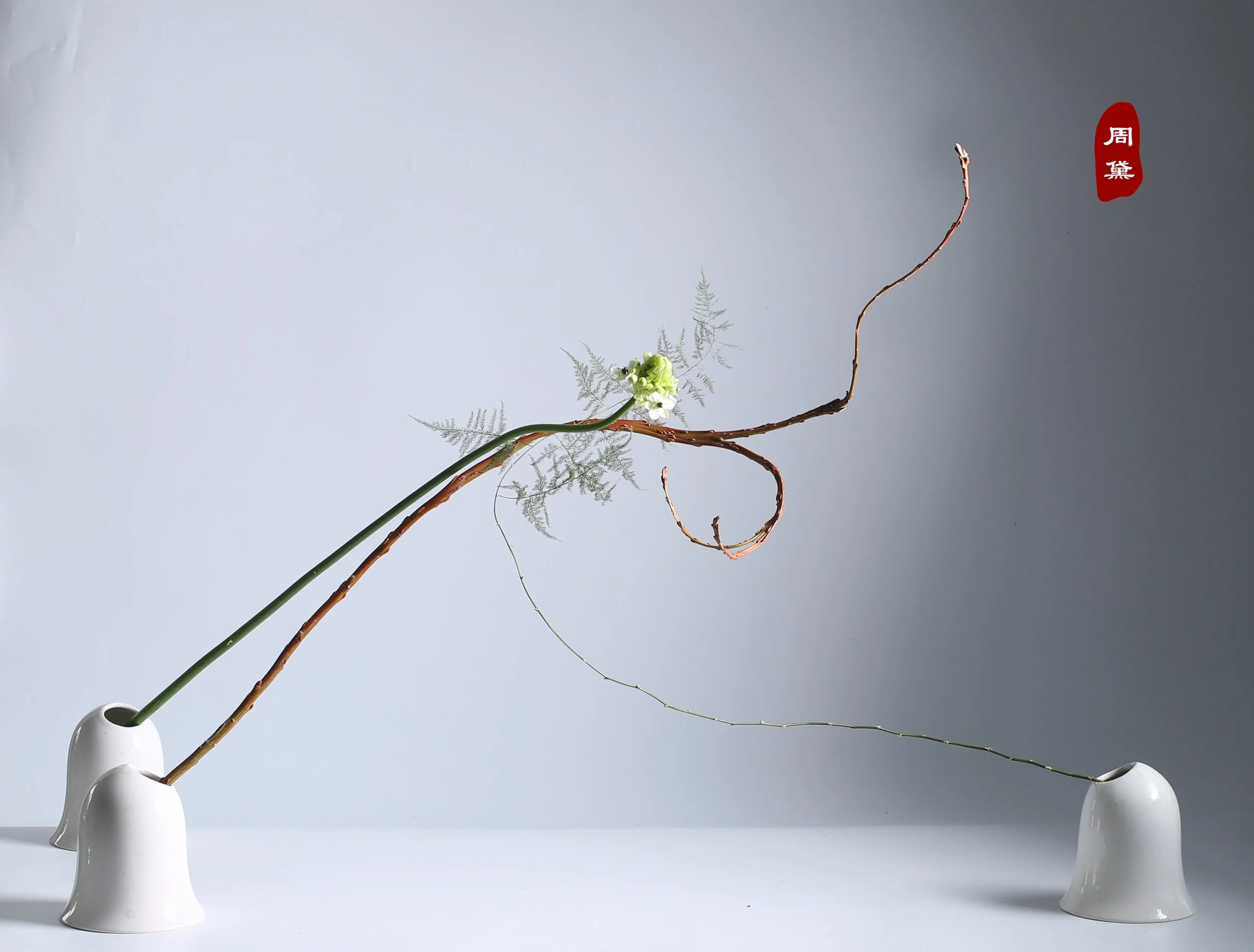 照片 01-12-2023 14 07 02.jpg