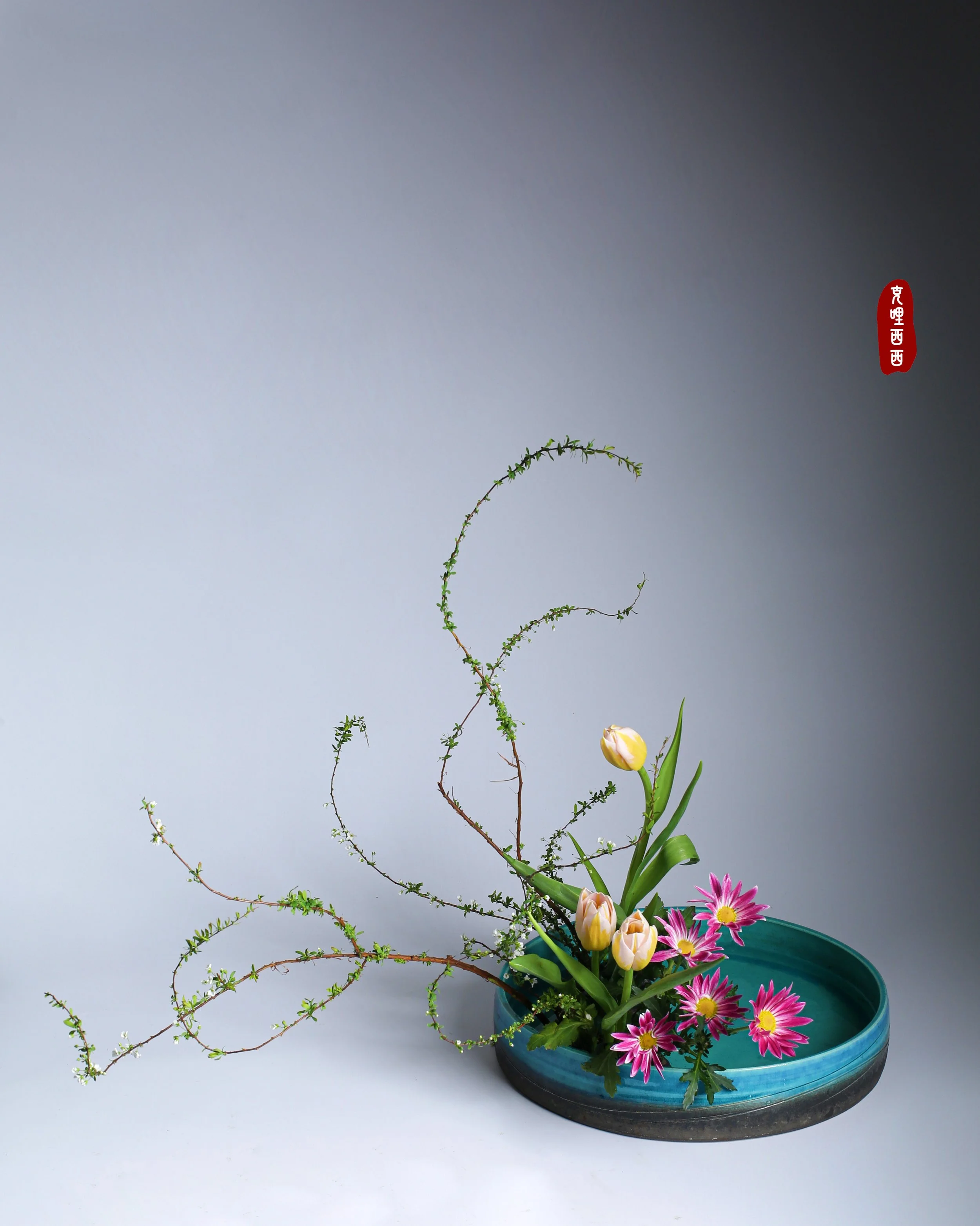 照片 24-03-2026 12 55 00 (23).jpg