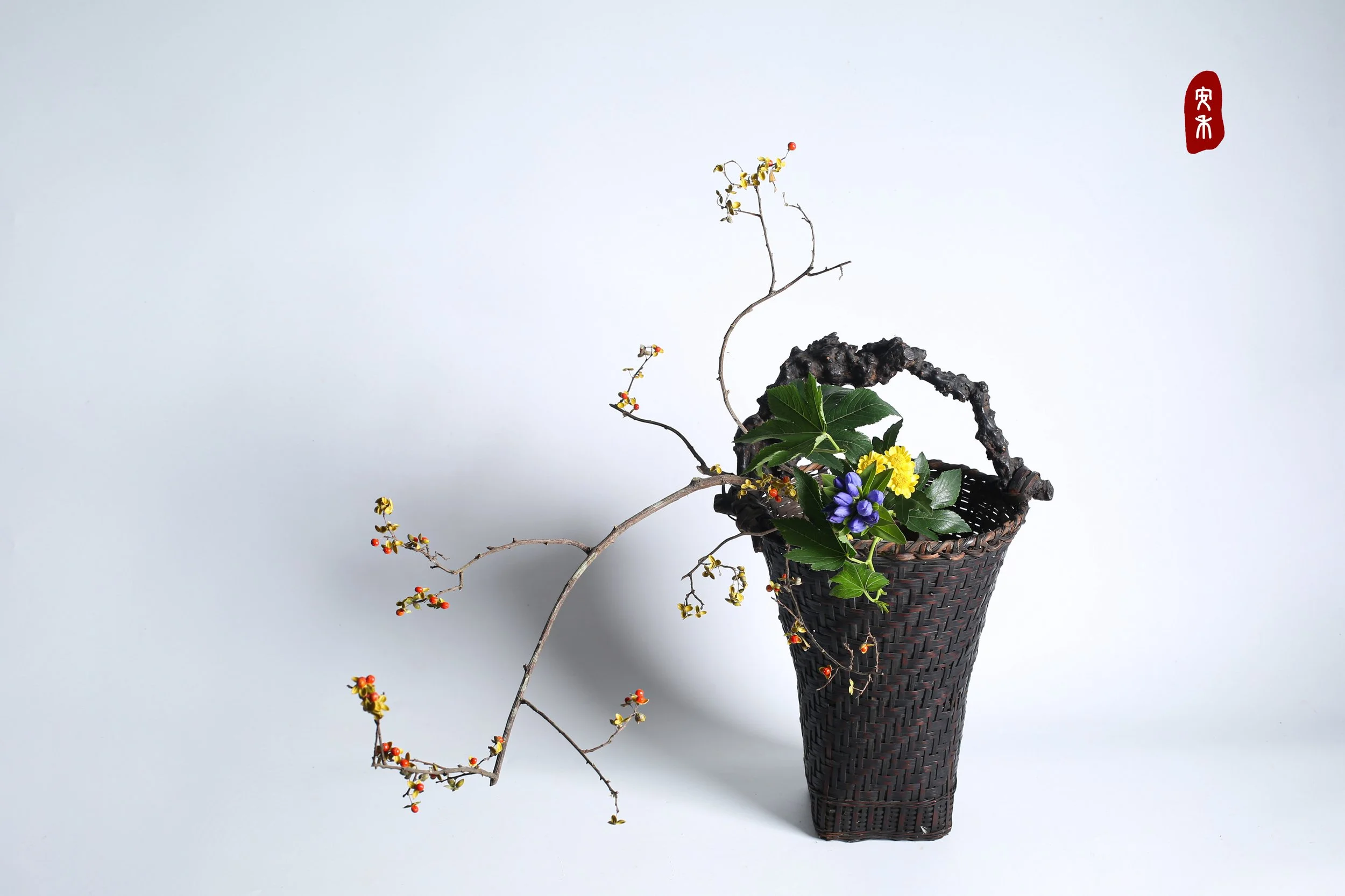 照片 17-09-2023 09 13 25.jpg