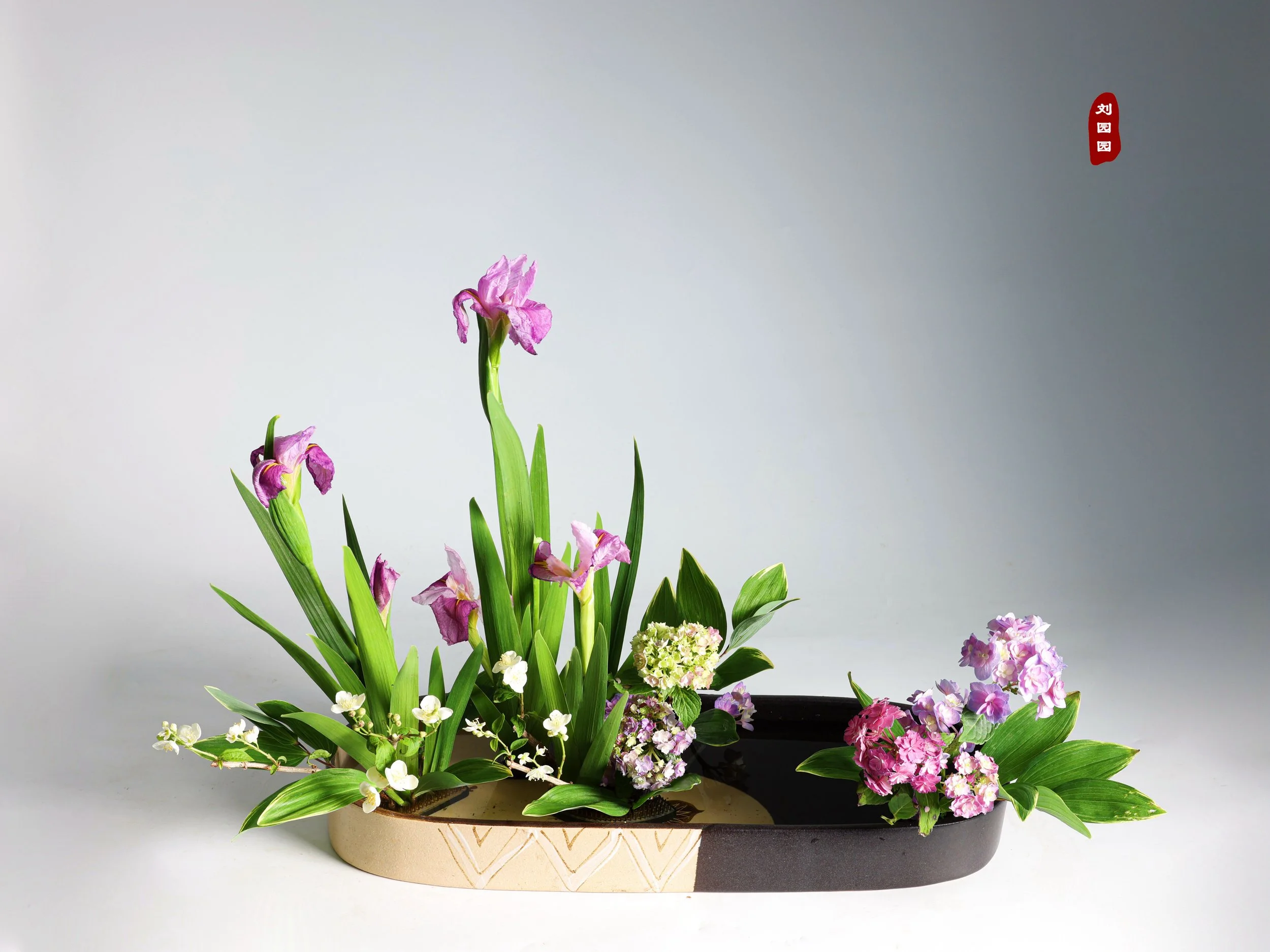 照片 07-05-2025 09 40 46.jpg