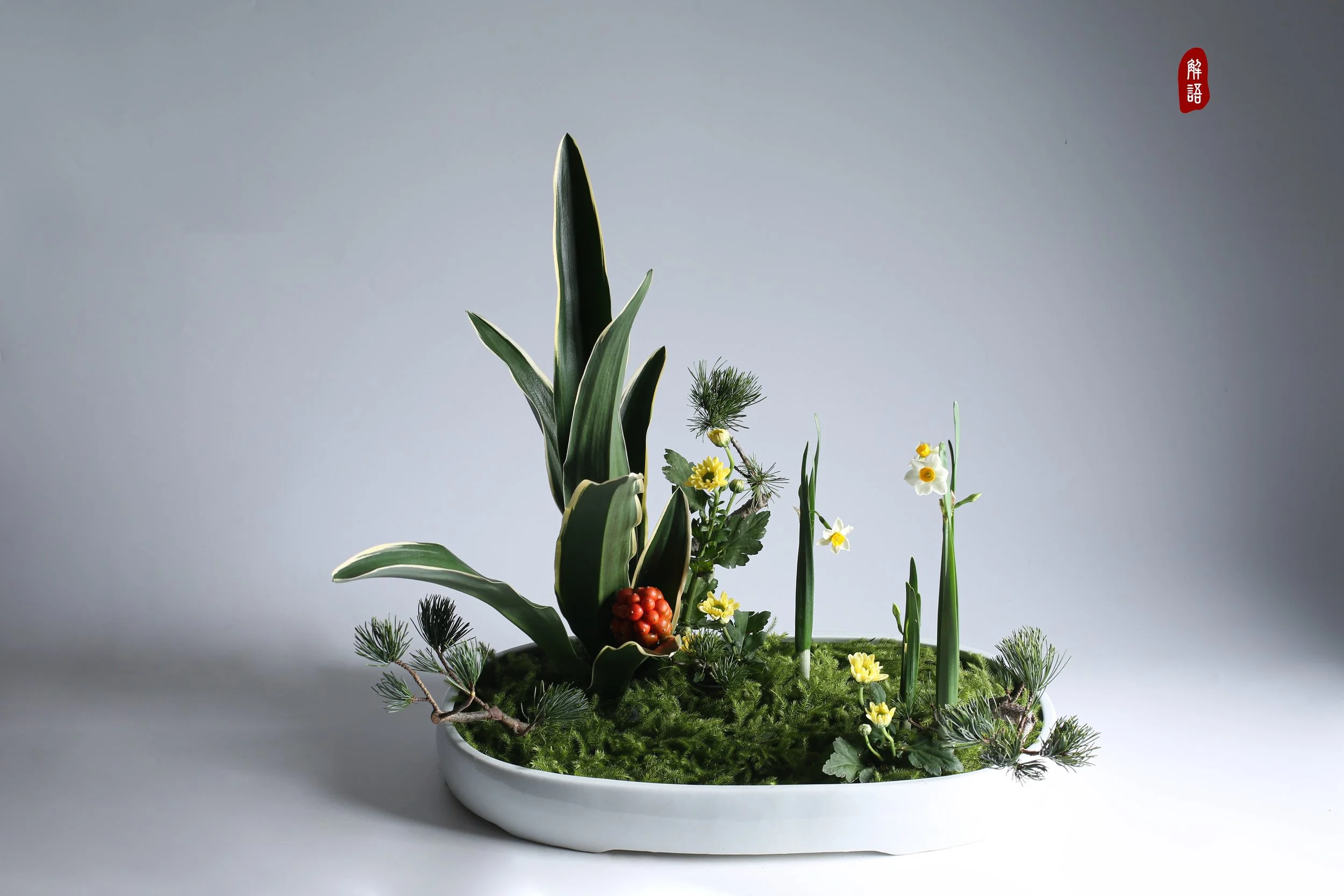 照片 08-12-2023 10 54 03.jpg