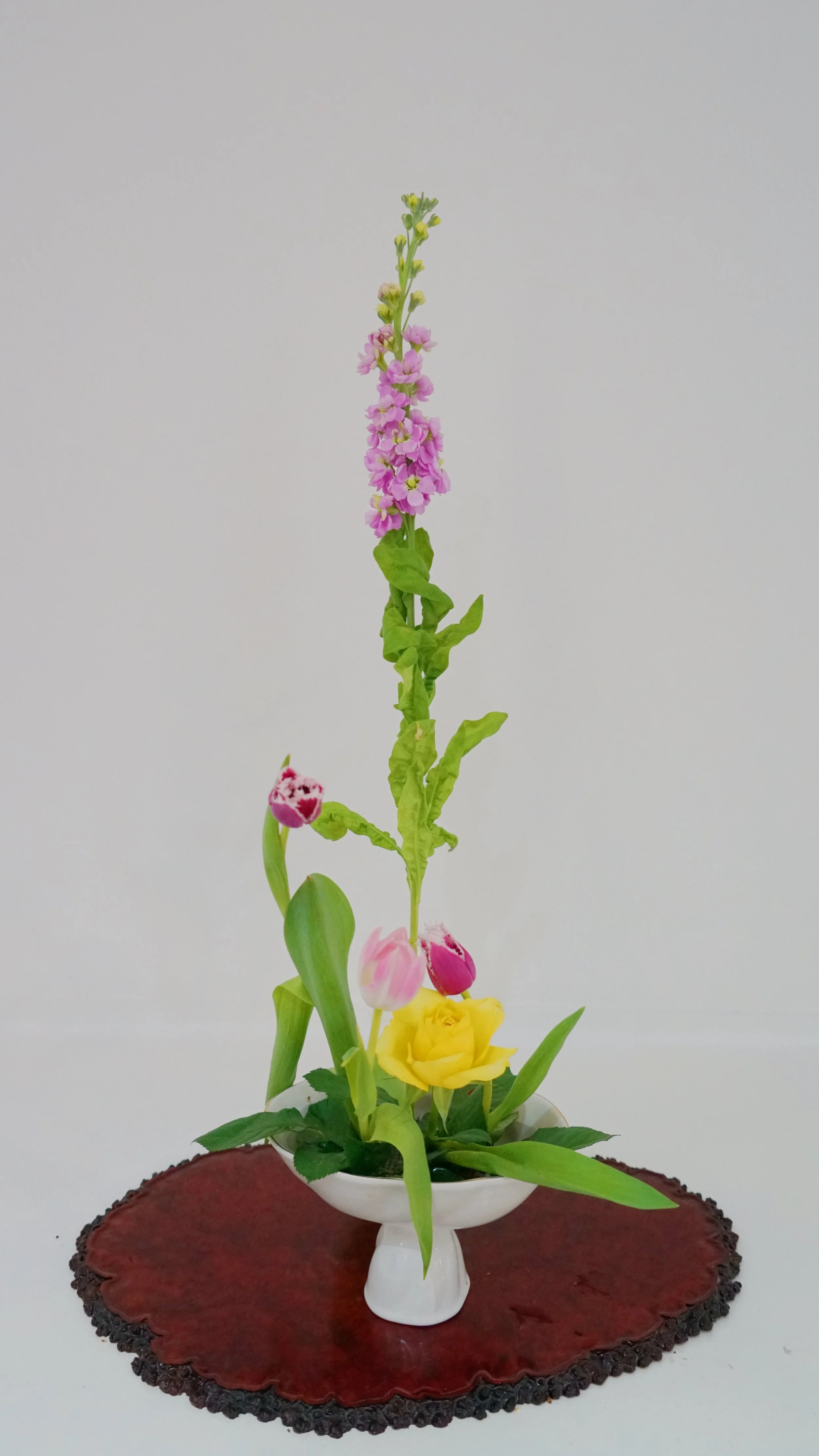 Photo 01-04-2026 14 11 00.jpg