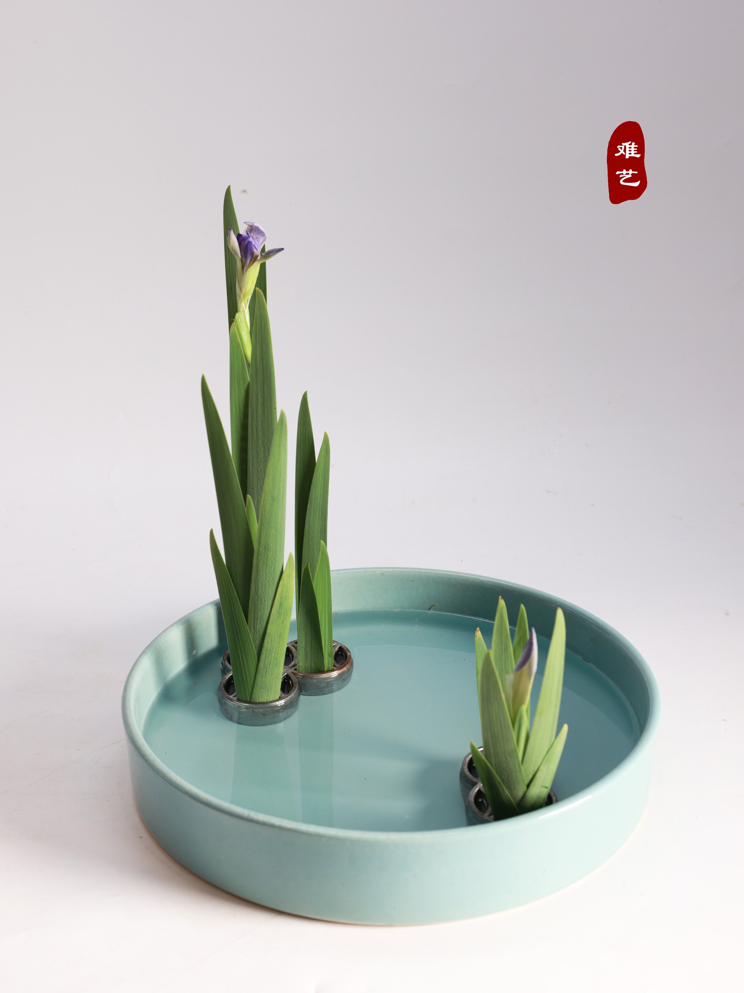 照片 23-03-2026 00 05 50 (4) (1).jpg