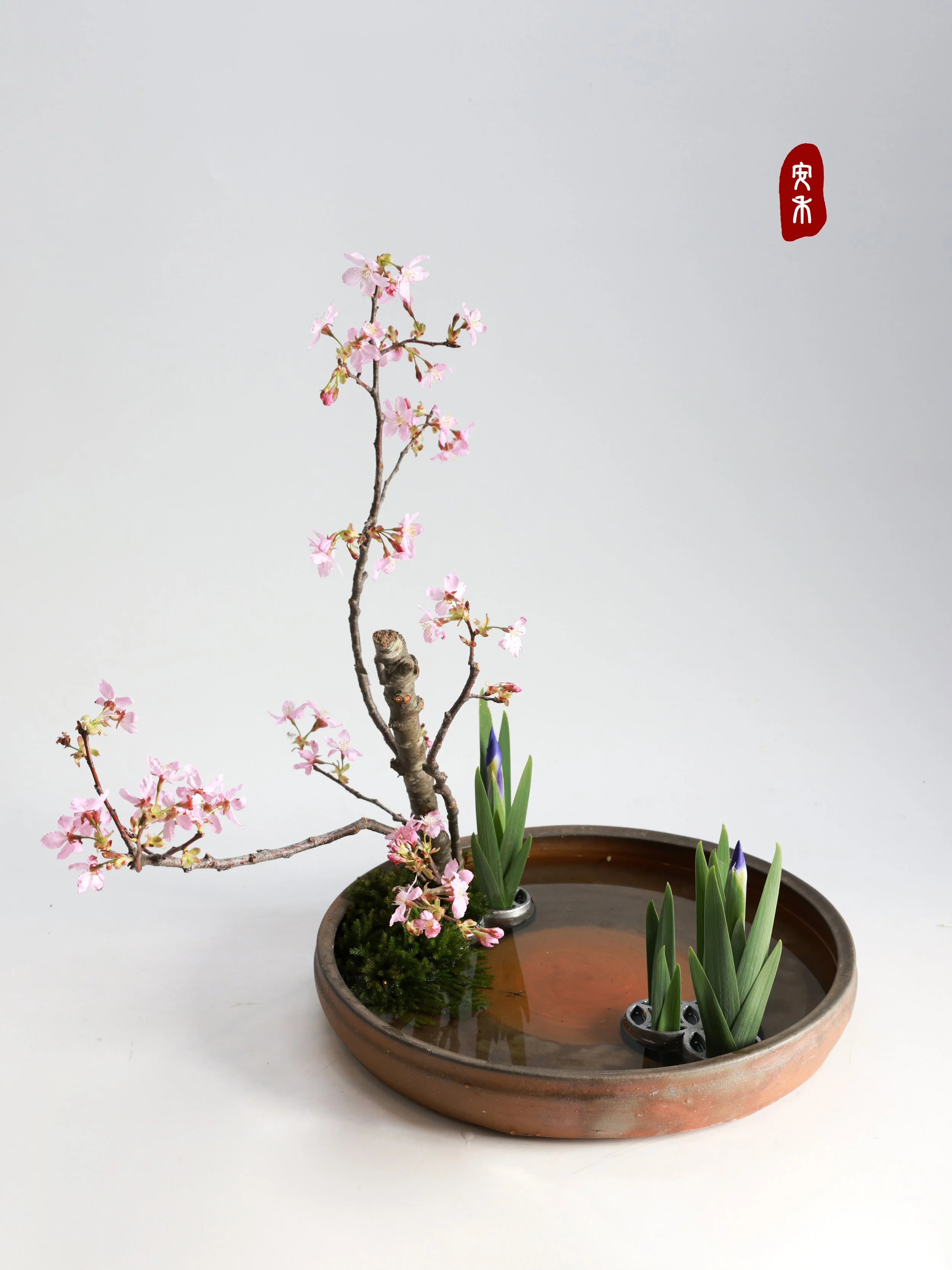 照片 23-03-2026 00 05 50.jpg