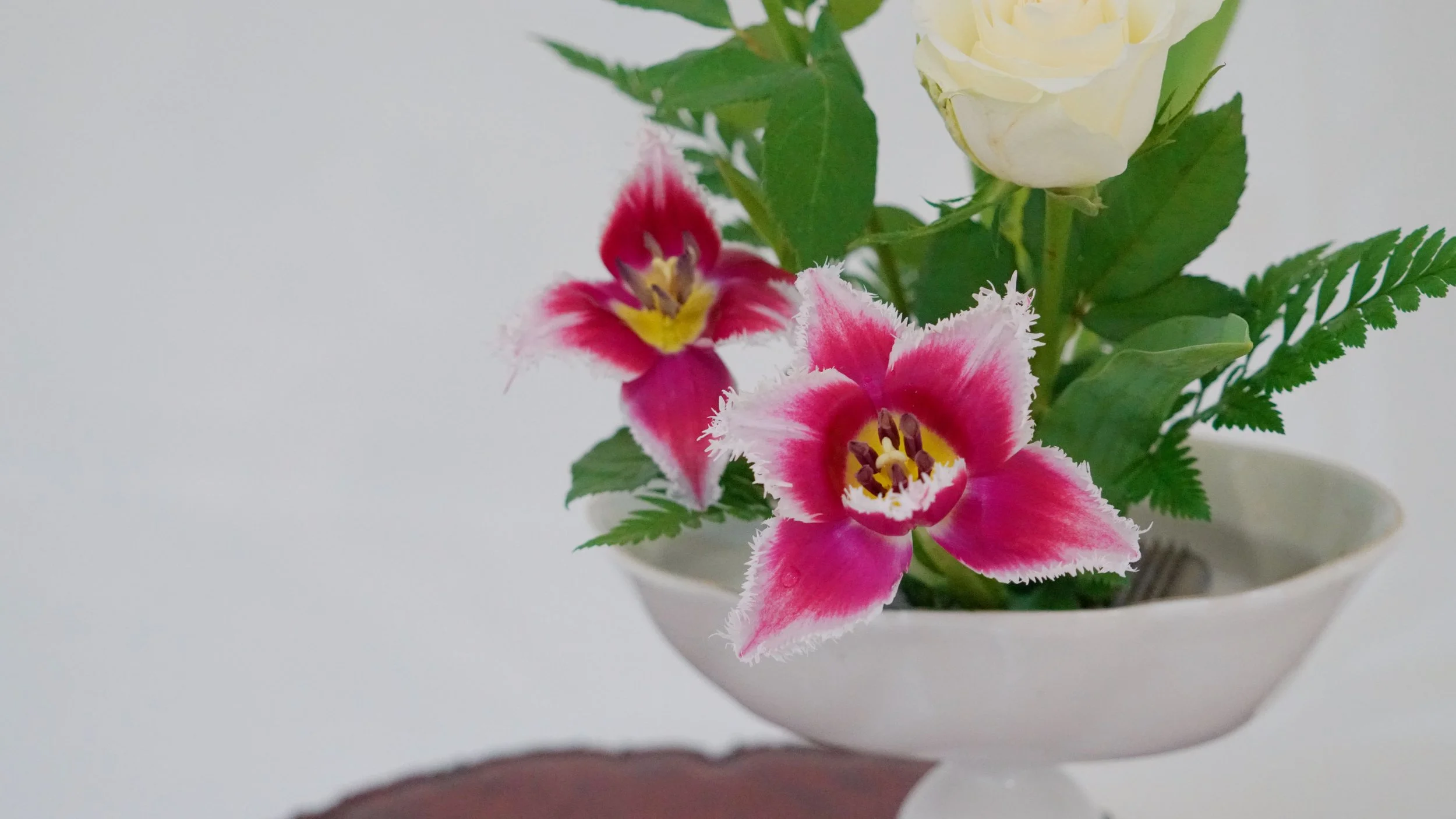 Photo 01-04-2026 14 07 46 (4).jpg