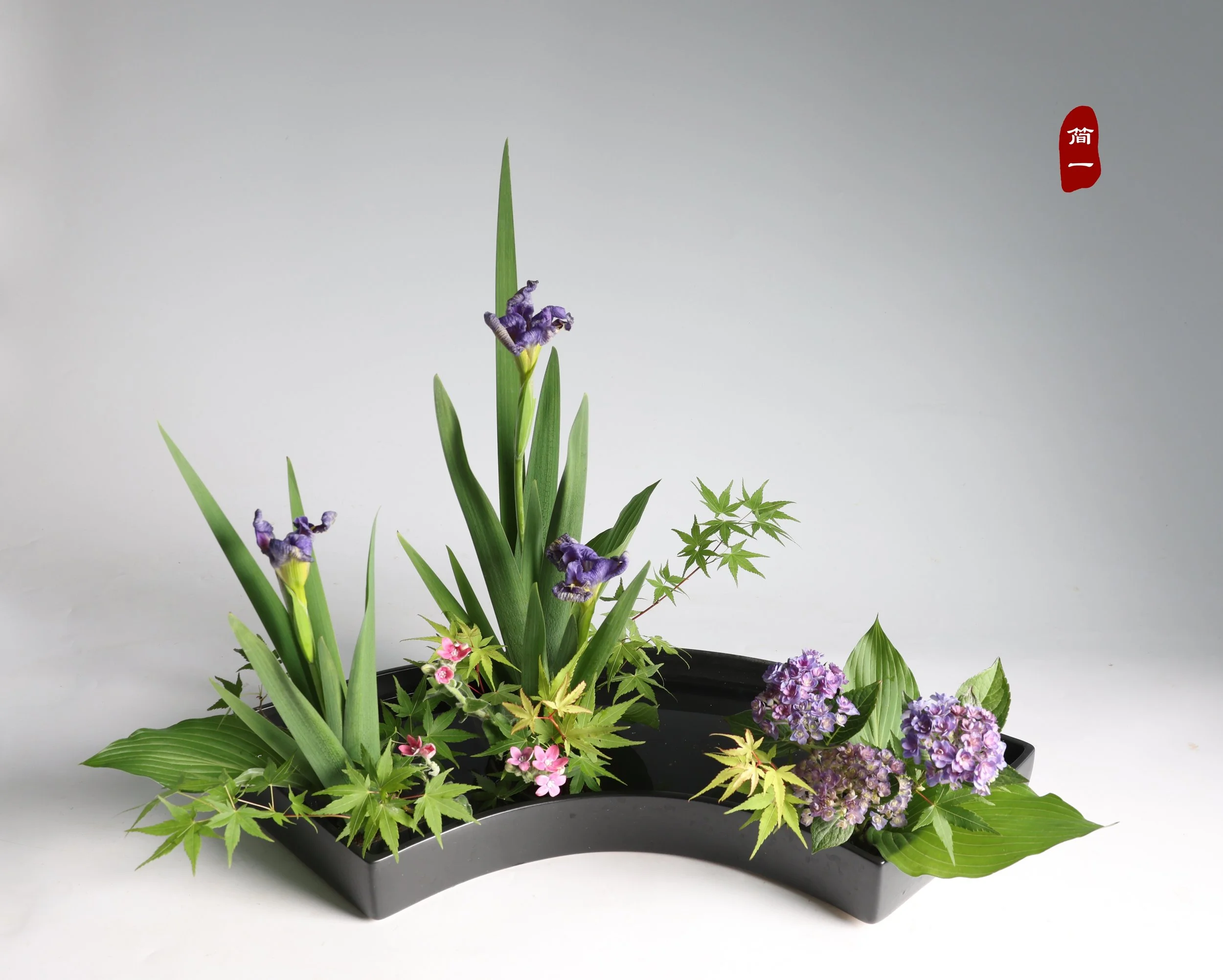 照片 24-05-2025 17 13 59.jpg