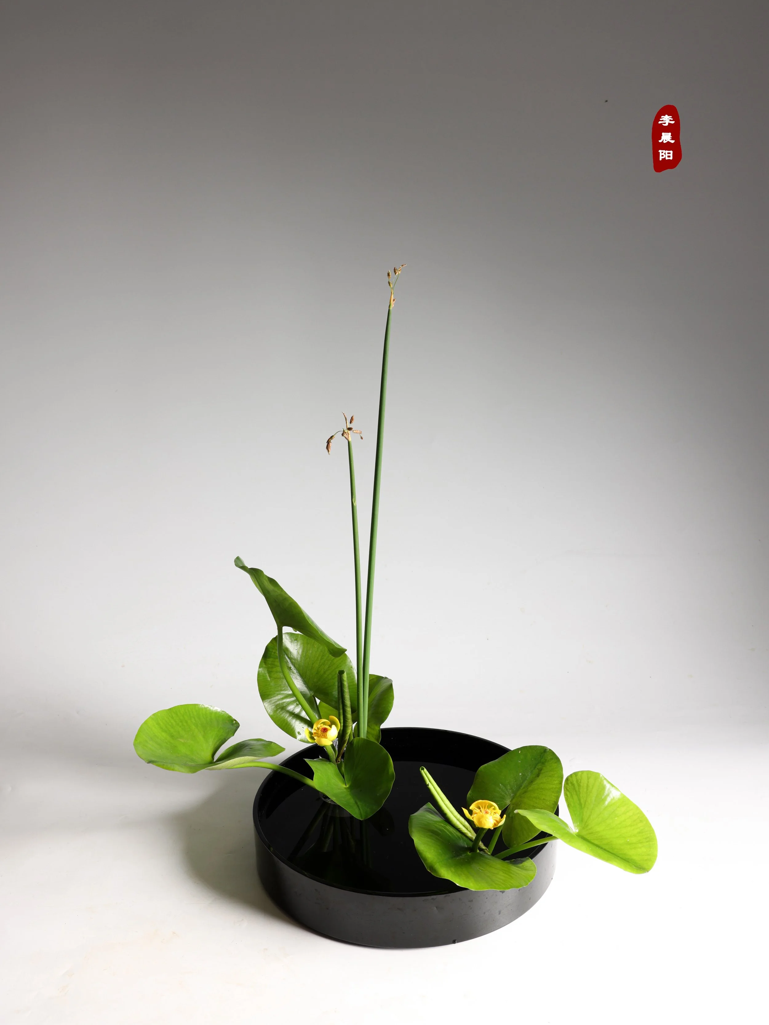 照片 13-06-2025 15 28 54.jpg