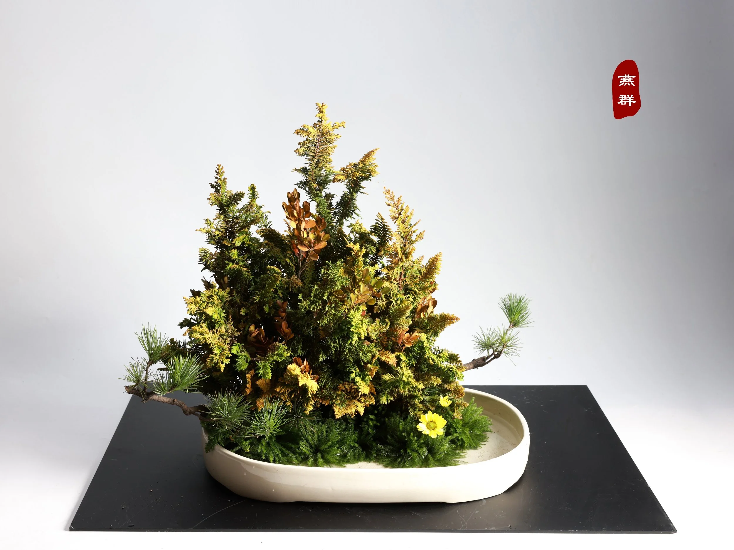 照片 08-02-2026 10 18 24.jpg