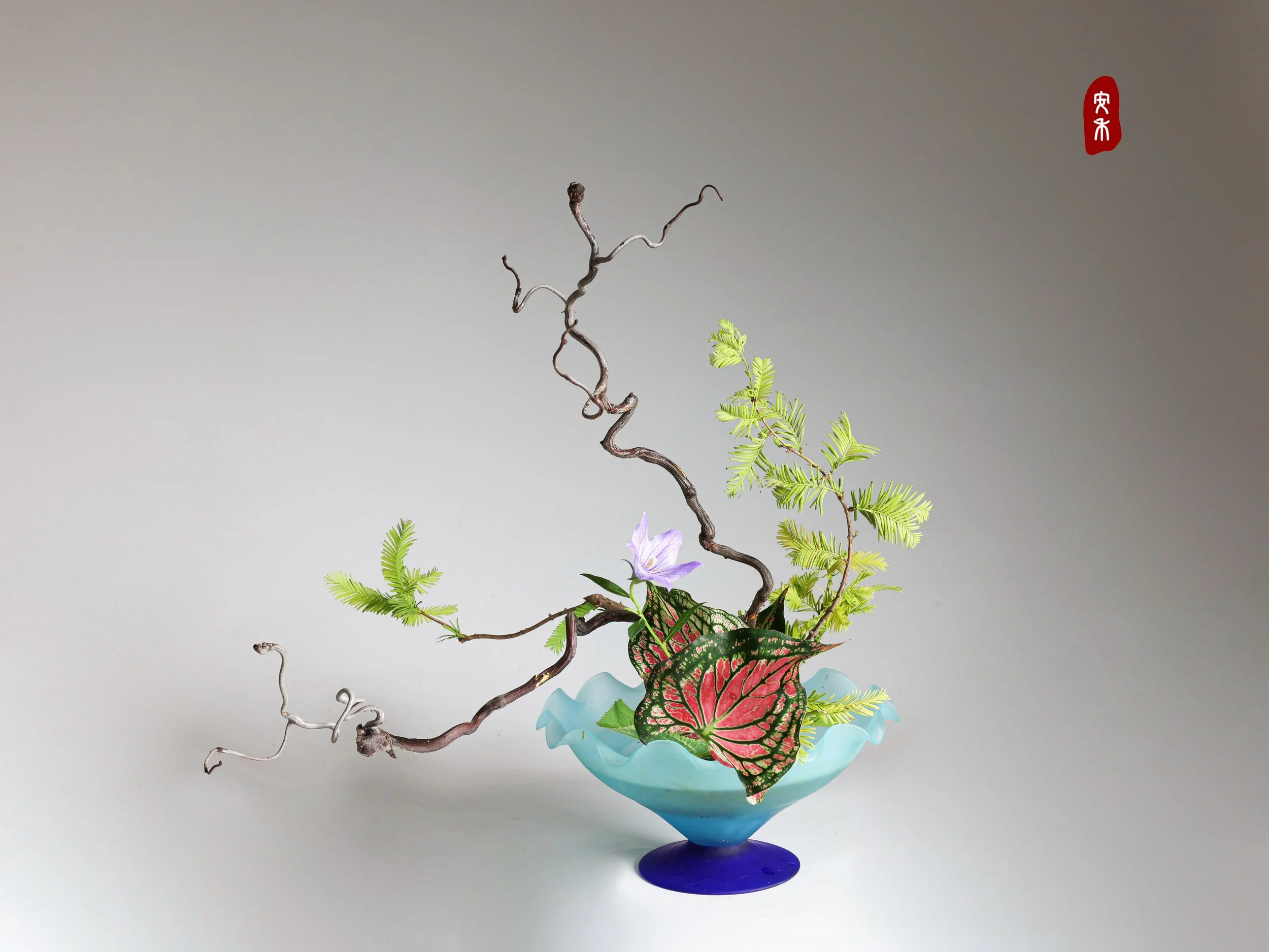 照片 24-03-2026 12 55 00 (6).jpg