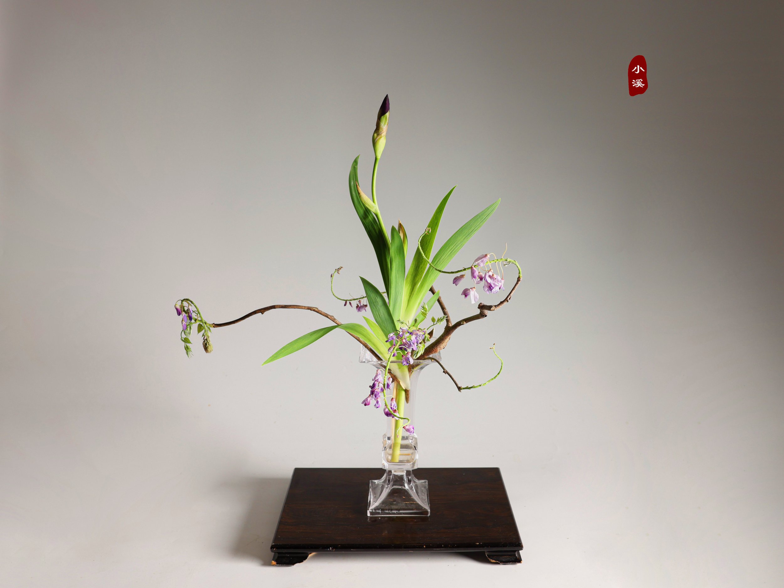 照片 12-04-2025 21 45 07.jpg