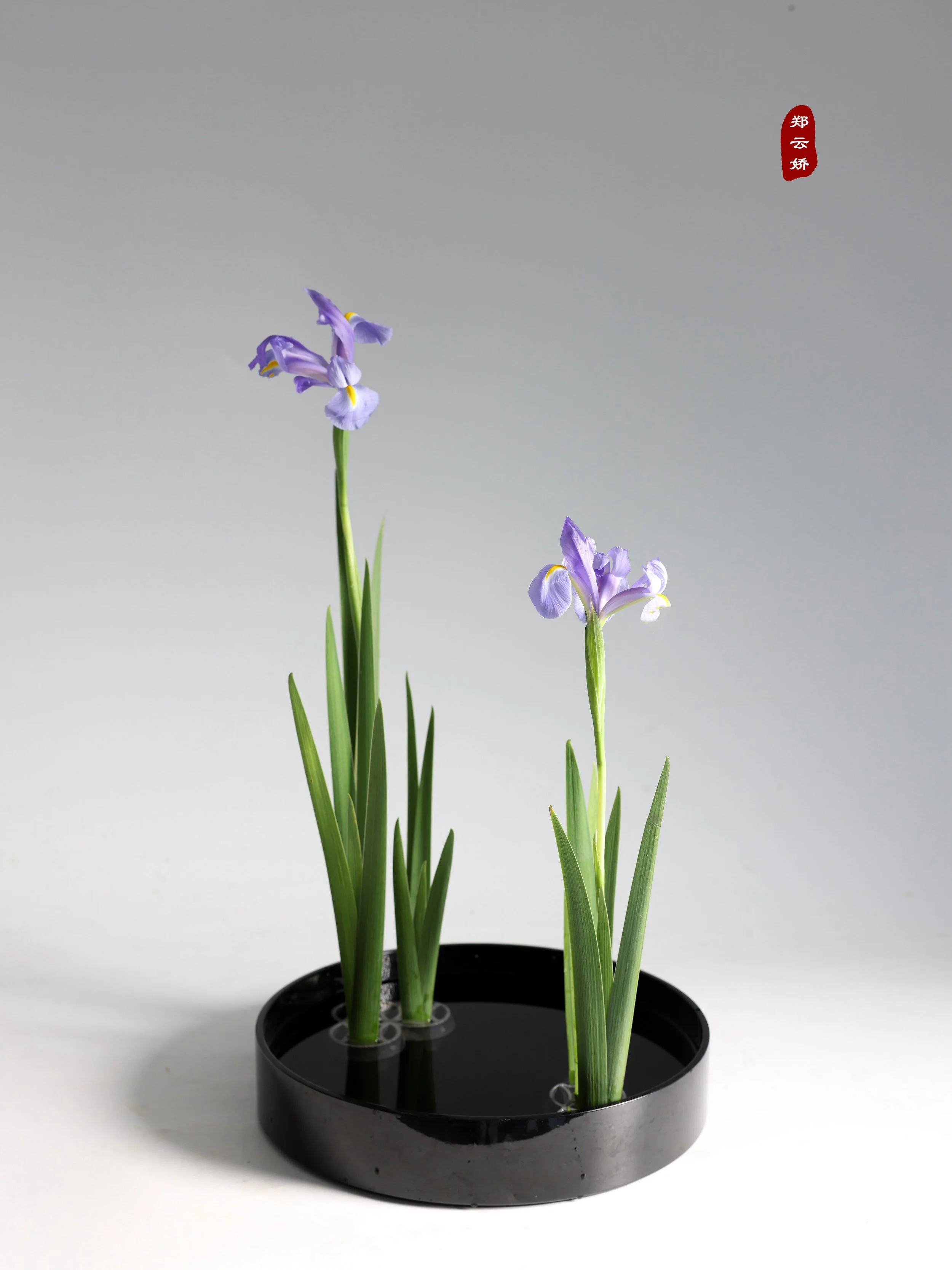 照片 13-06-2025 15 26 10.jpg