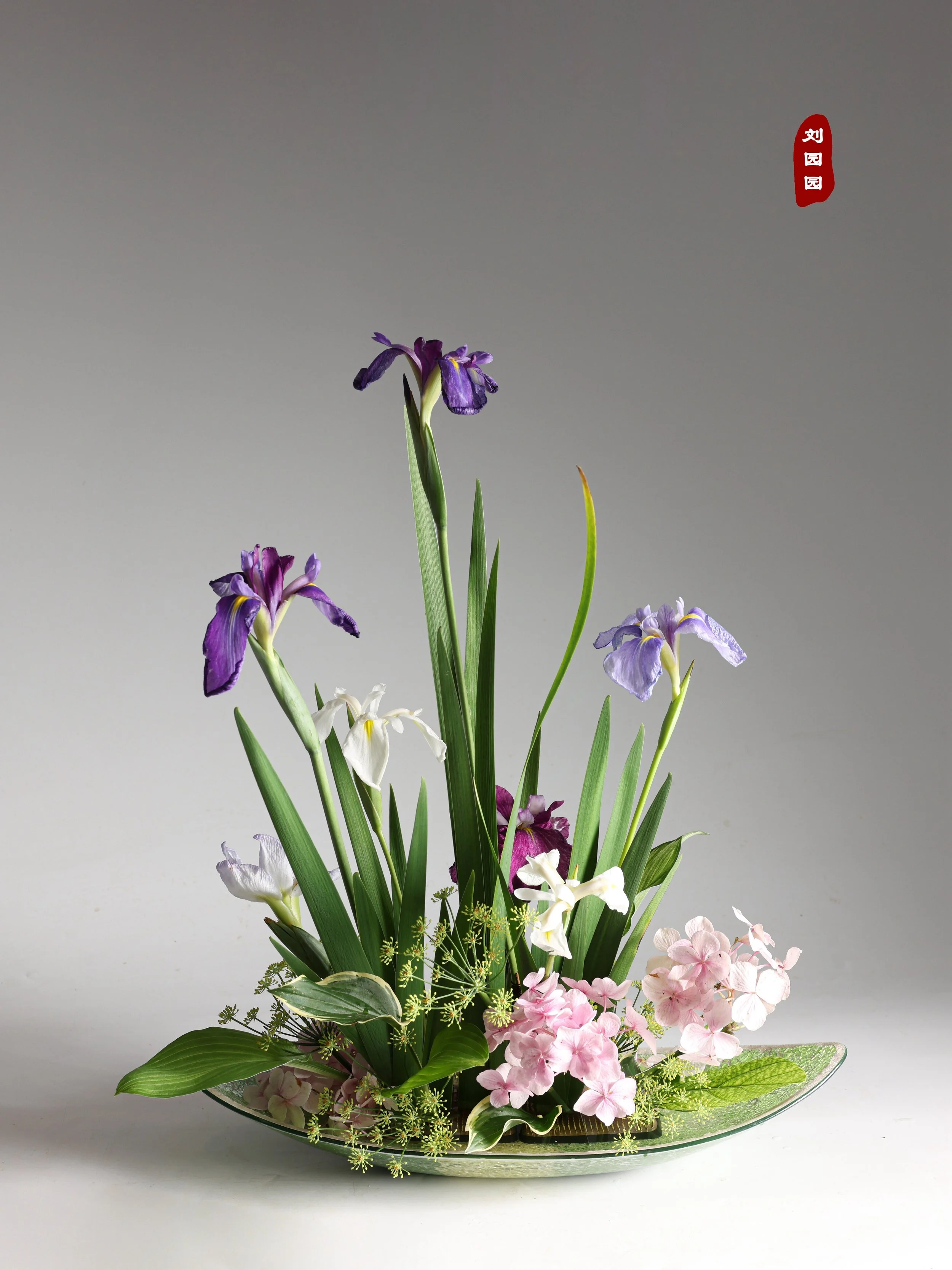 照片 11-06-2025 18 28 34.jpg