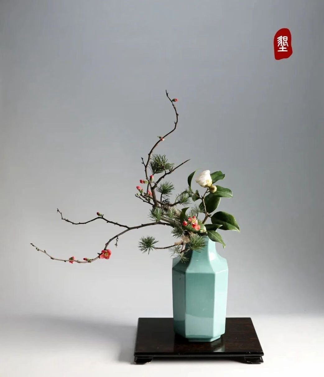 照片 09-03-2026 12 31 41.jpg