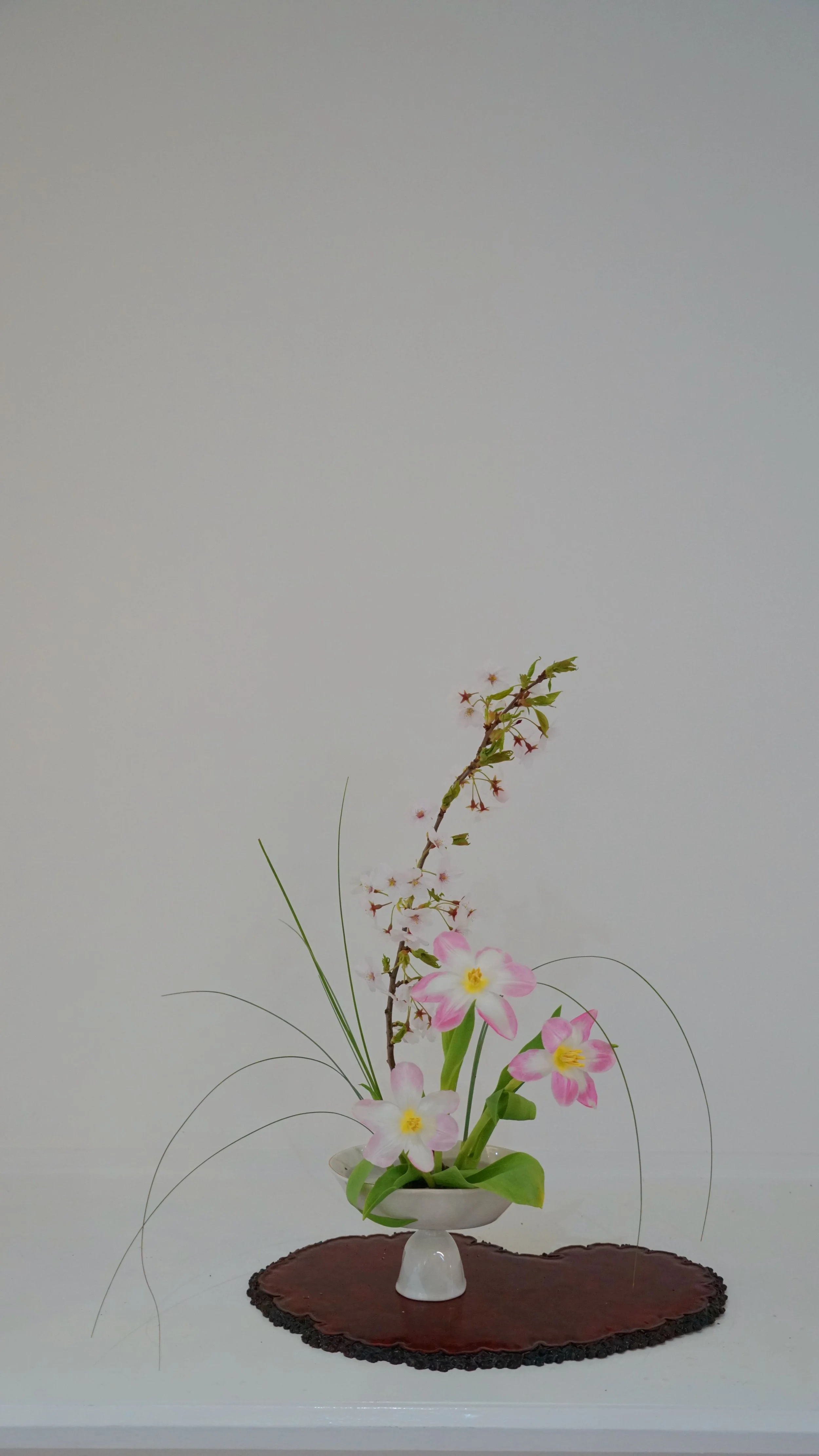 Photo 22-03-2026 20 01 44 (10).jpg