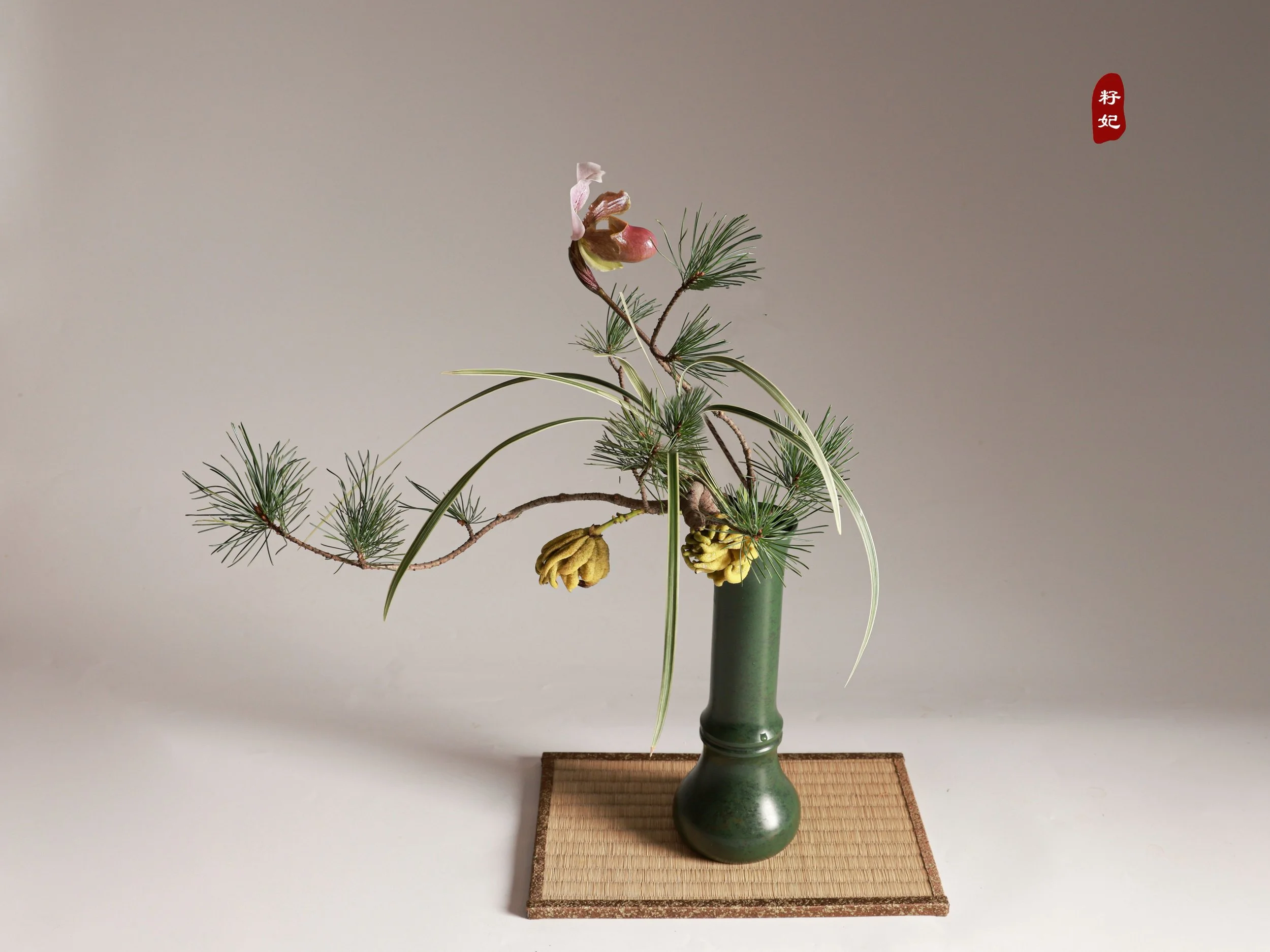 照片 02-10-2025 11 41 23.jpg