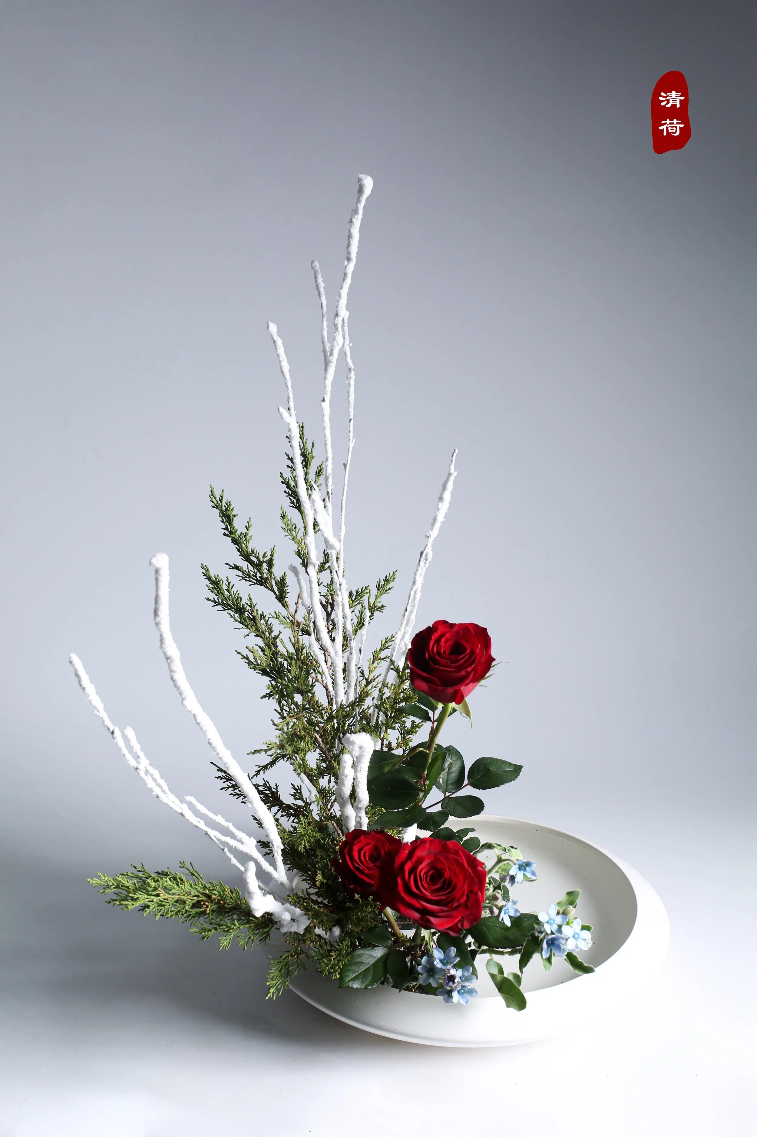 照片 25-12-2023 09 58 16.jpg