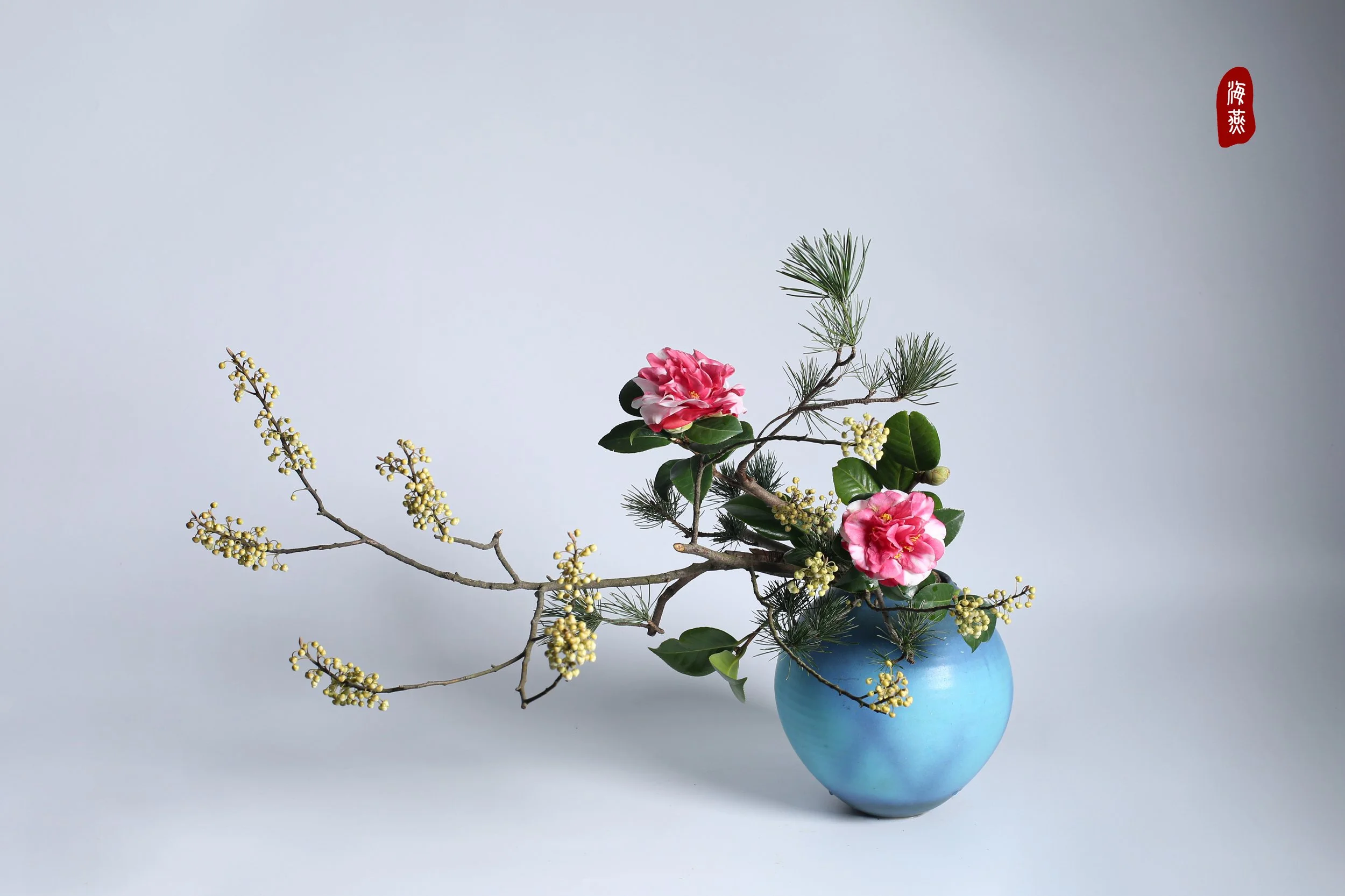 照片 24-03-2026 12 55 00 (22).jpg