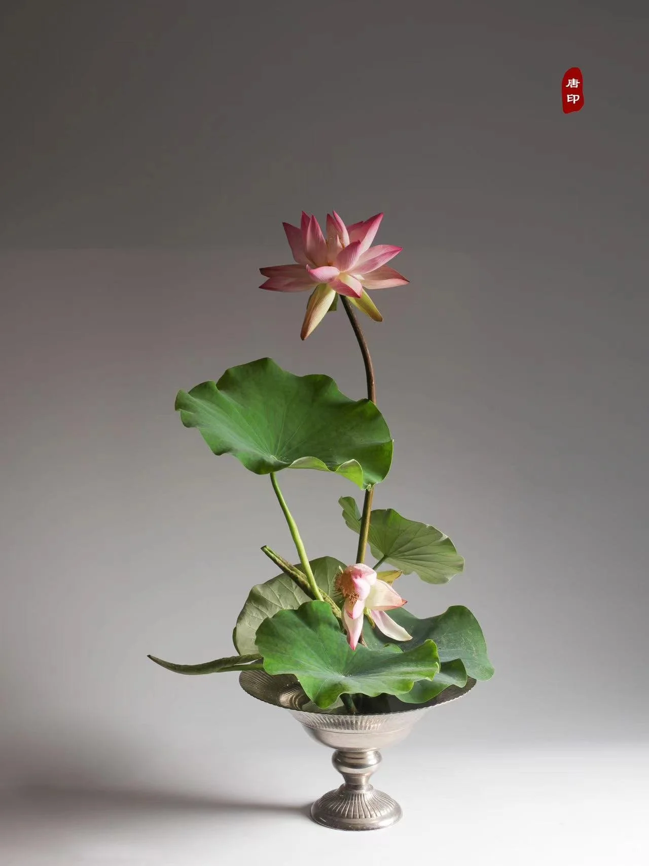 照片 24-03-2026 12 55 00 (8).jpg