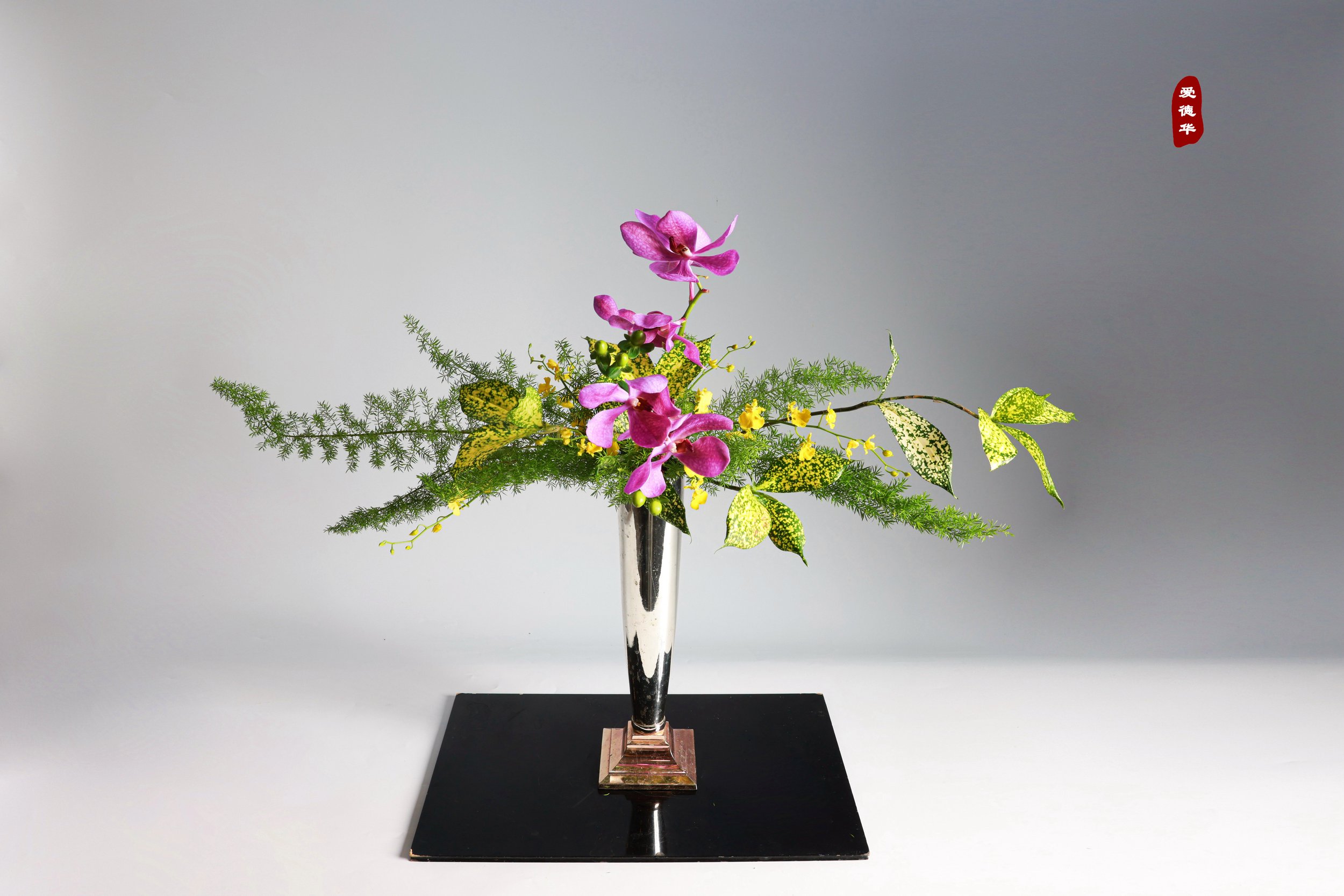 照片 02-11-2025 12 30 21.jpg