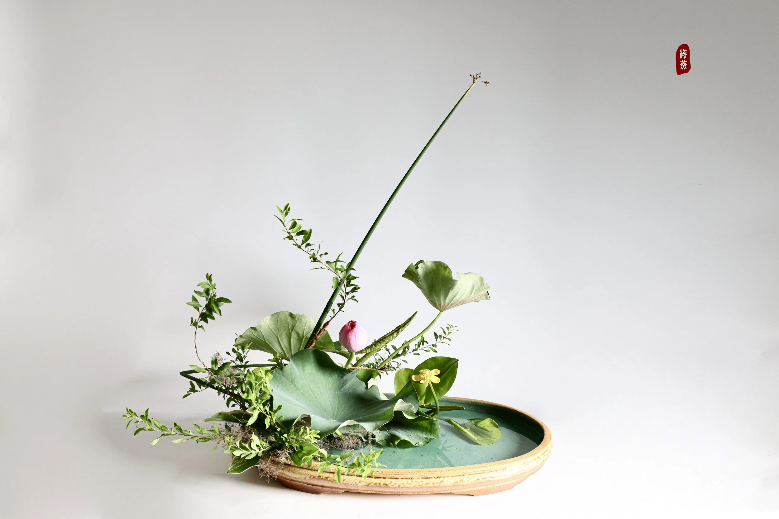 照片 24-03-2026 12 55 00.jpg