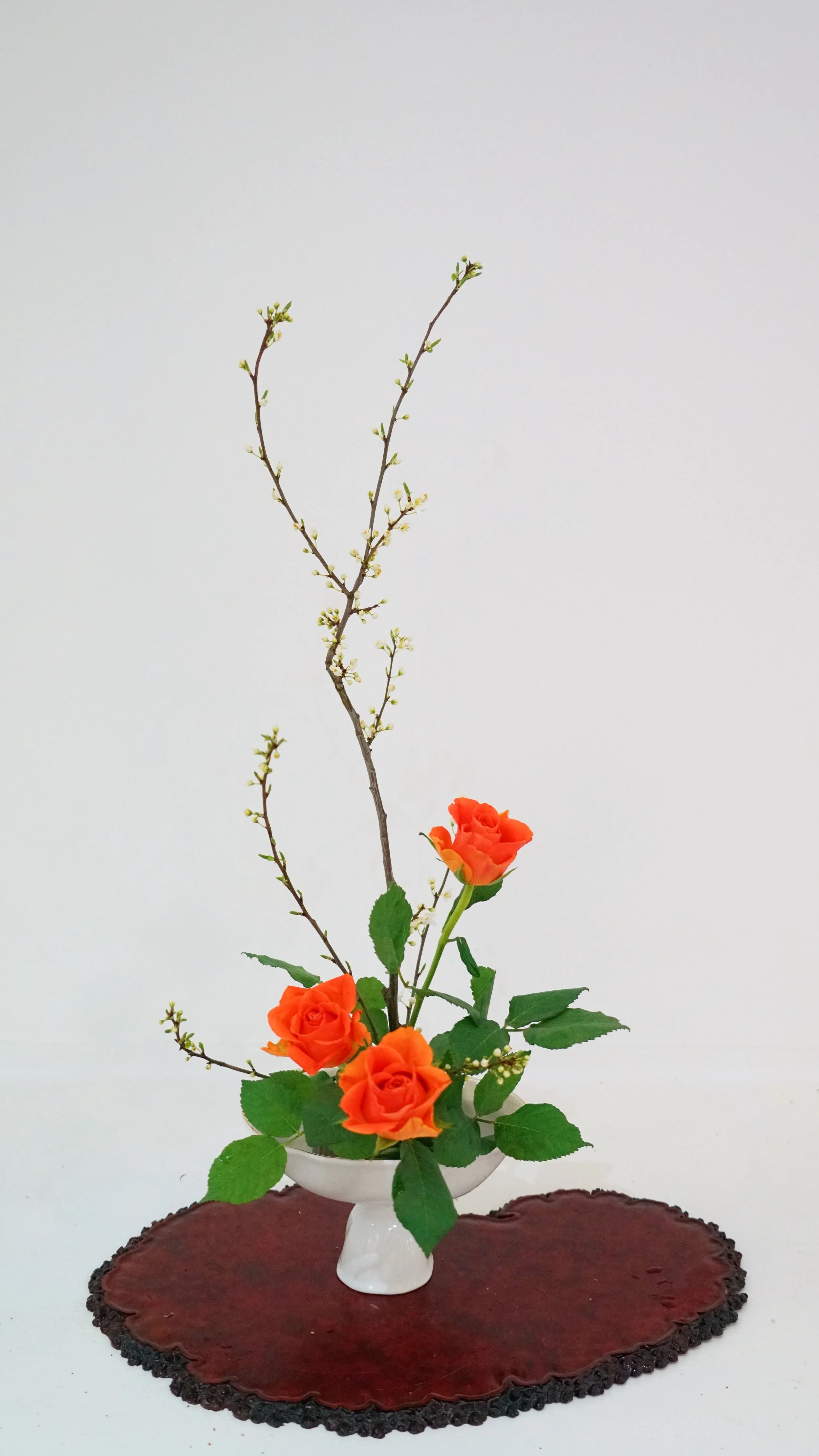 Photo 22-03-2026 19 55 39 (5).jpg