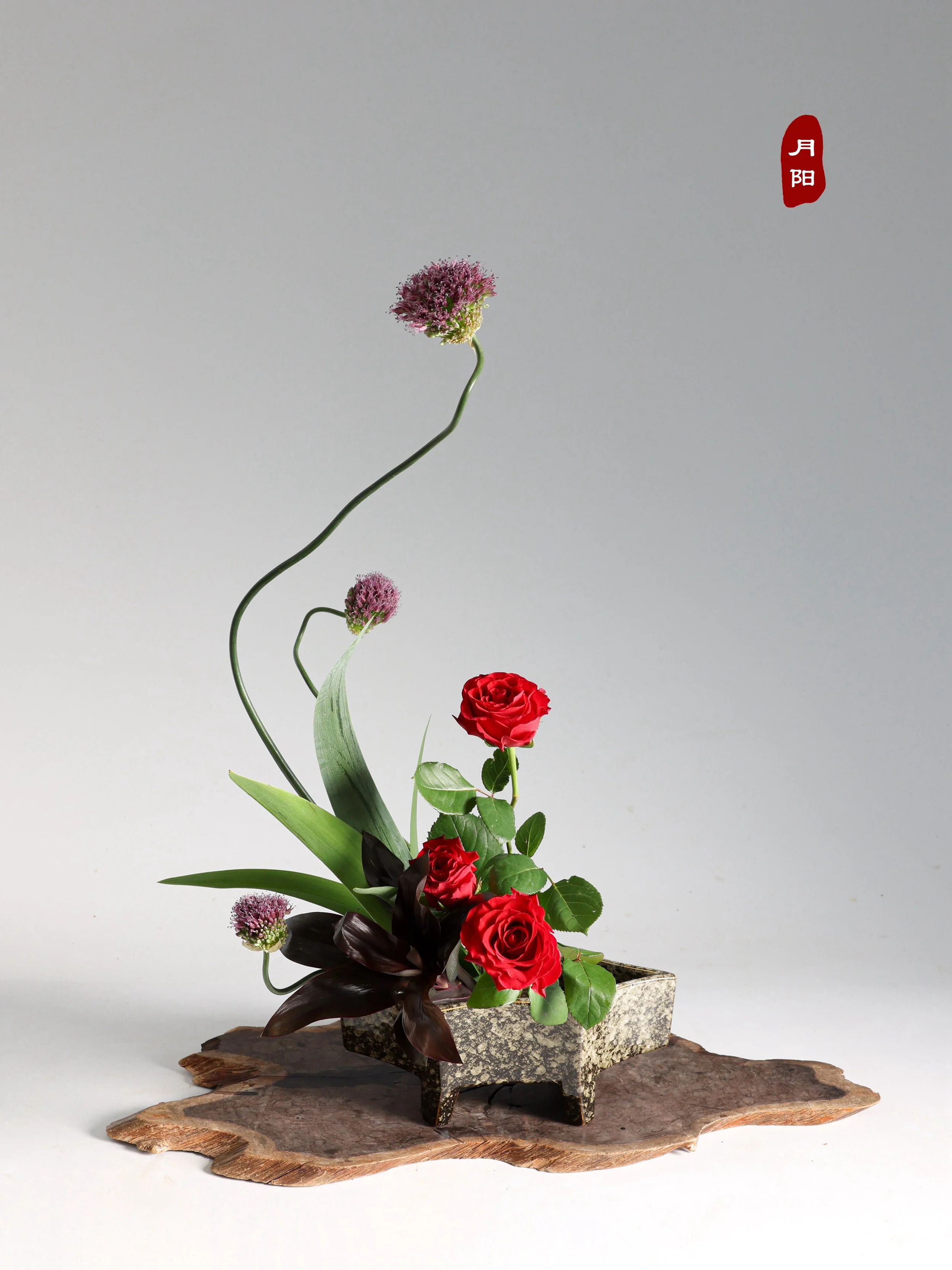 照片 24-03-2026 12 55 00 (4) (1).jpg