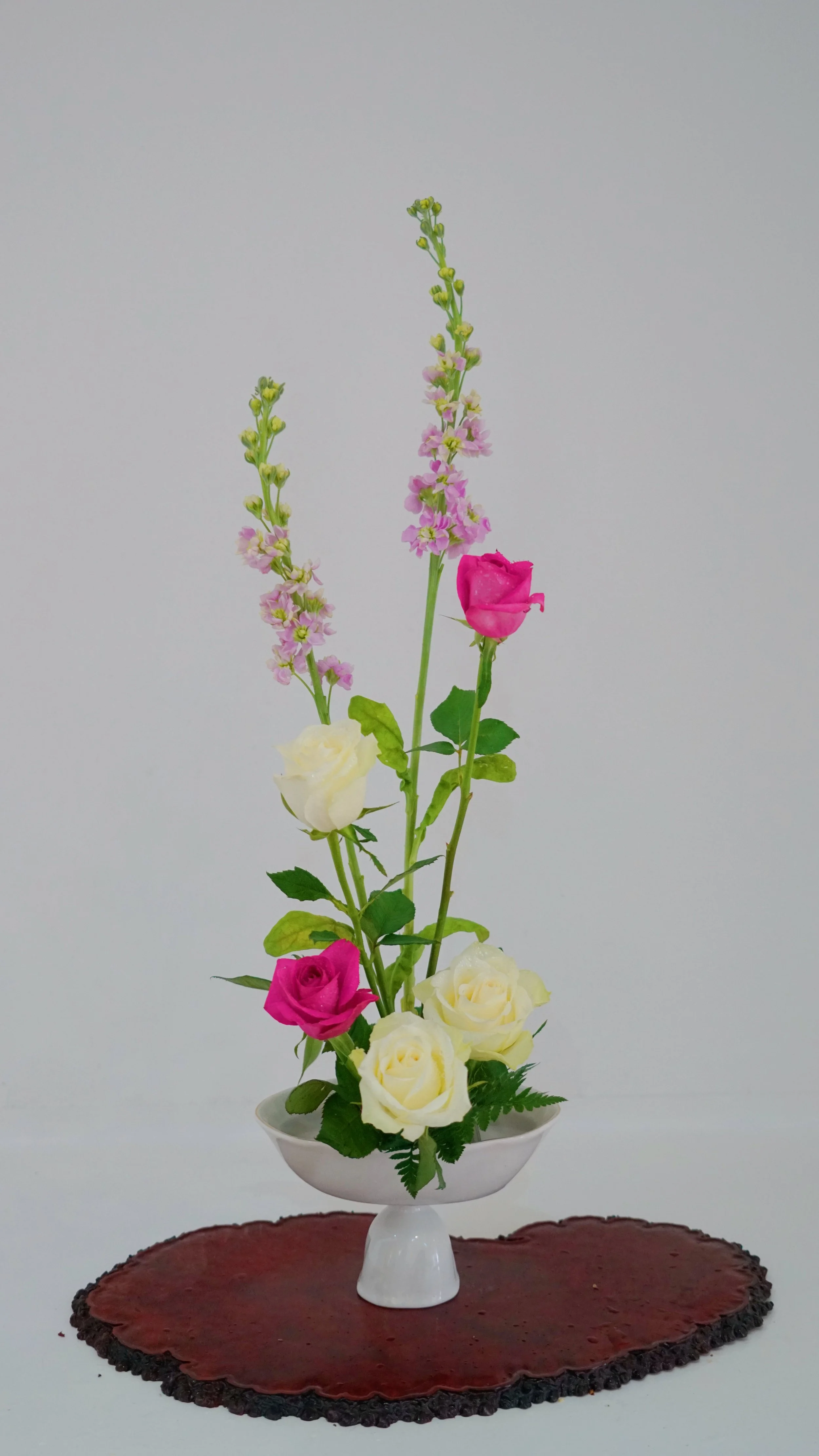 Photo 01-04-2026 14 16 12.jpg