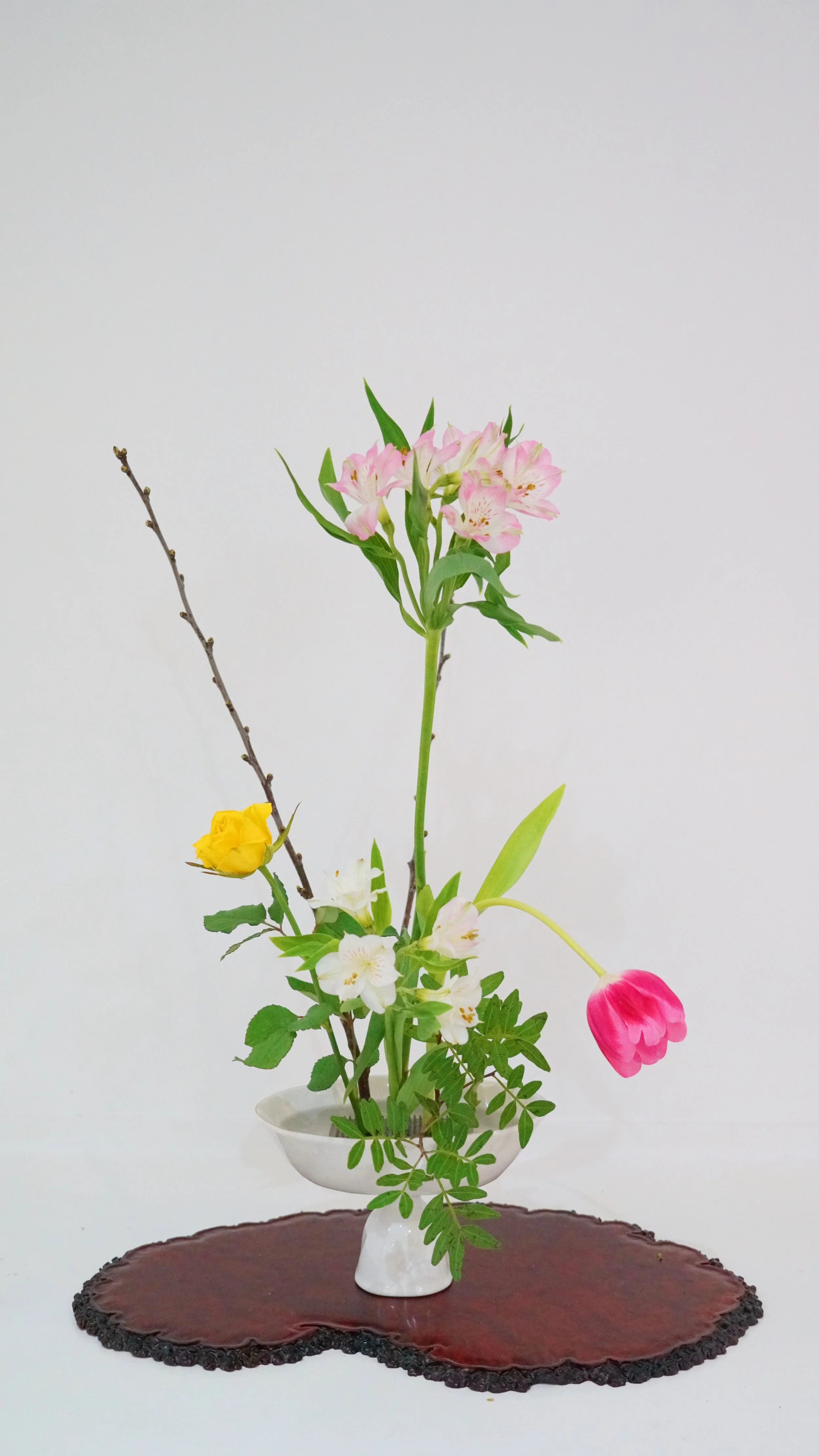 Photo 13-03-2026 07 37 52 (1).jpg