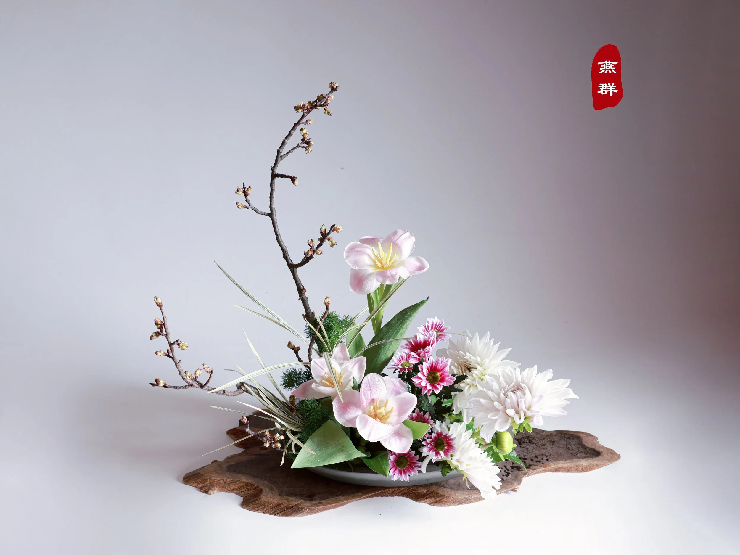 照片 23-03-2026 00 09 21 (5).jpg