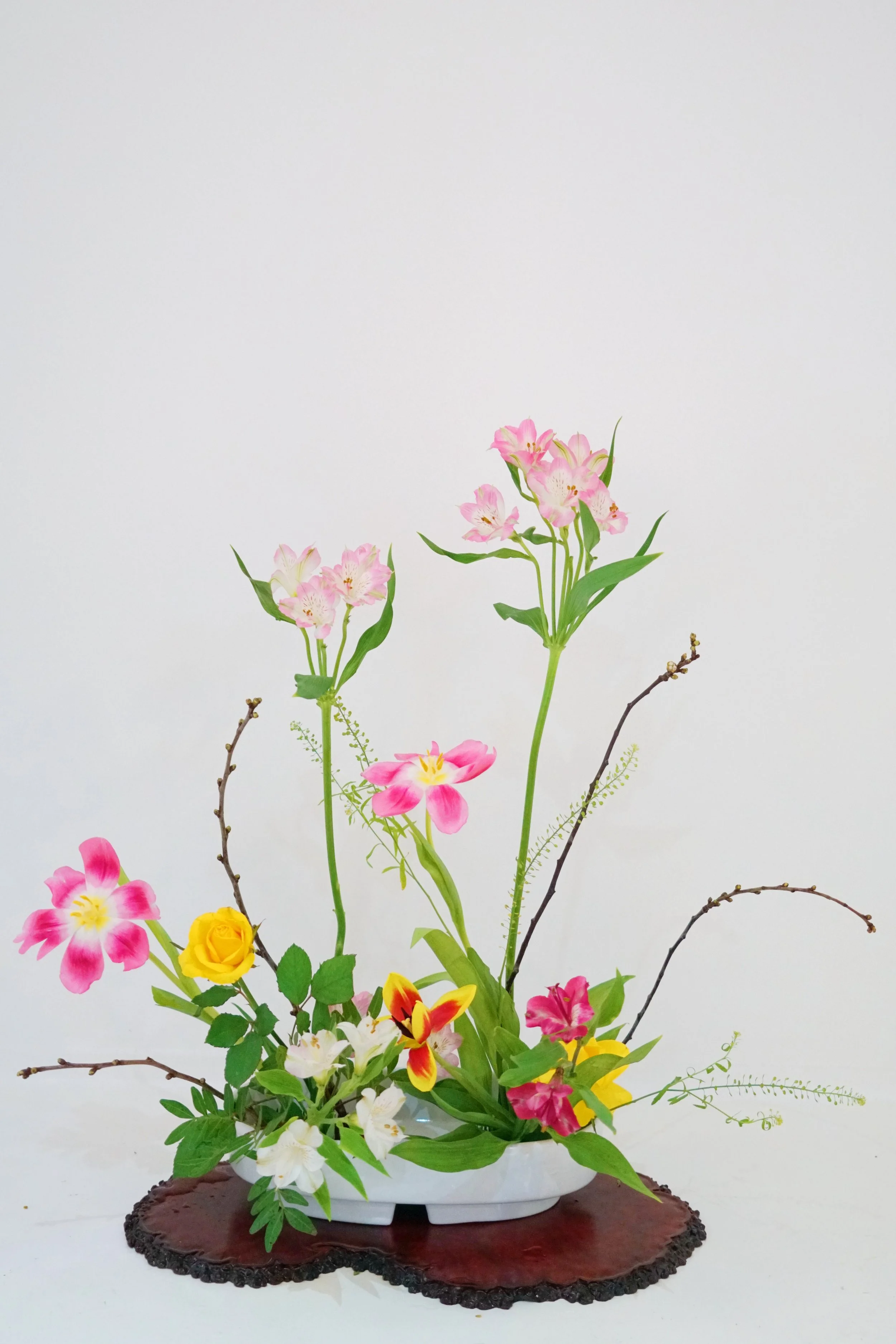 Photo 13-03-2026 06 51 19 (1).jpg