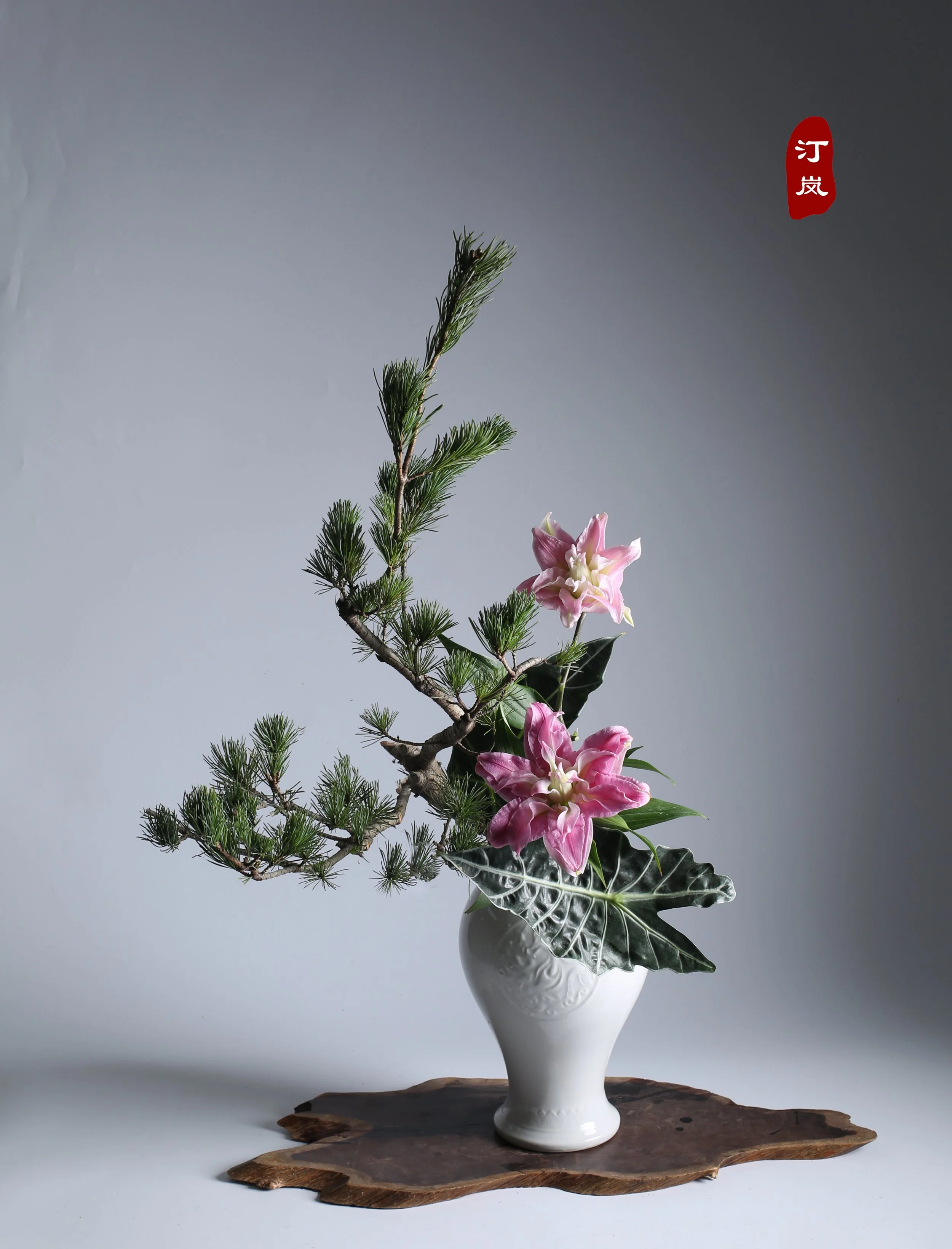 照片 01-12-2023 14 13 51.jpg